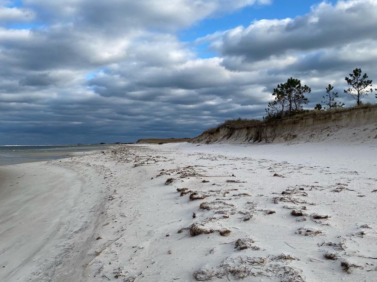 Cover photo for Fort Pickens Campground