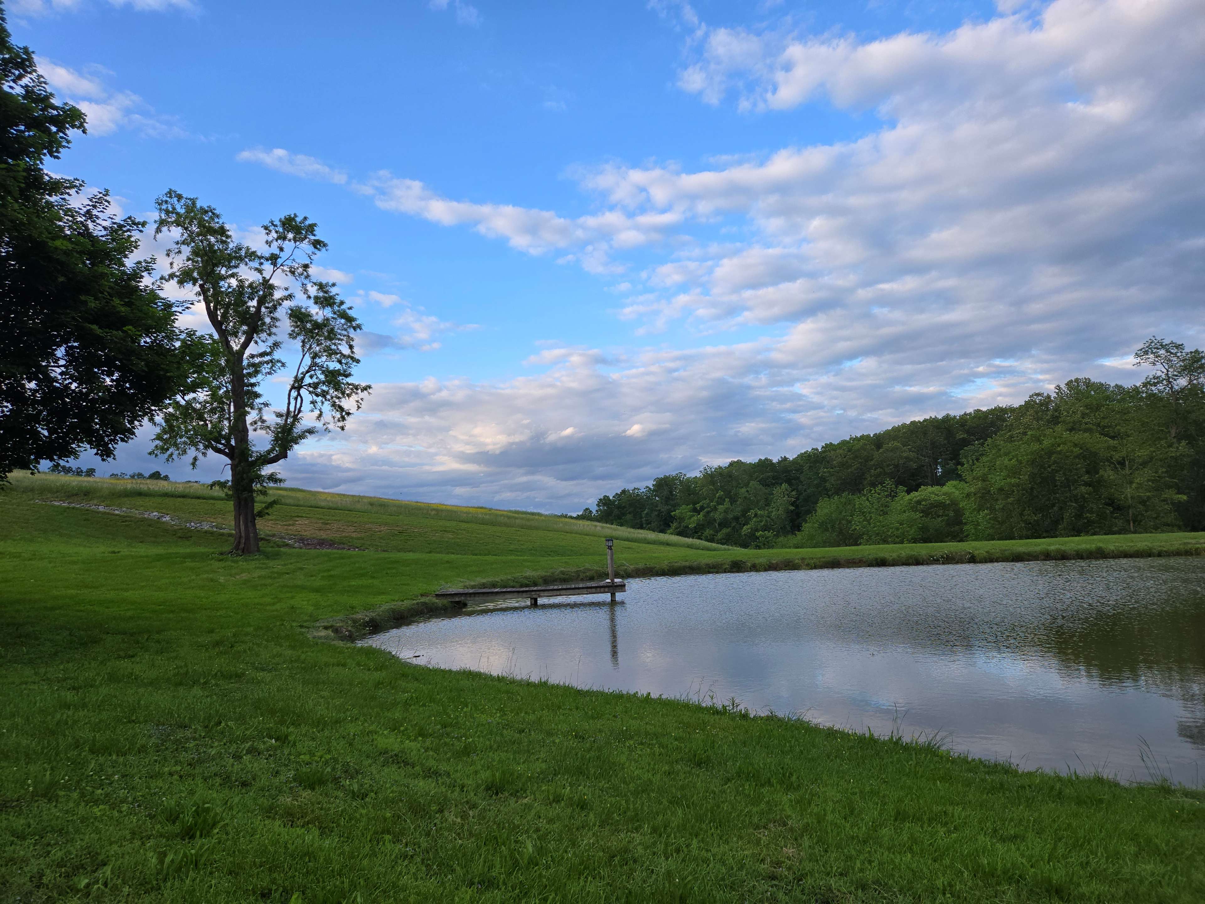 Views of woods, pond, and sunrise