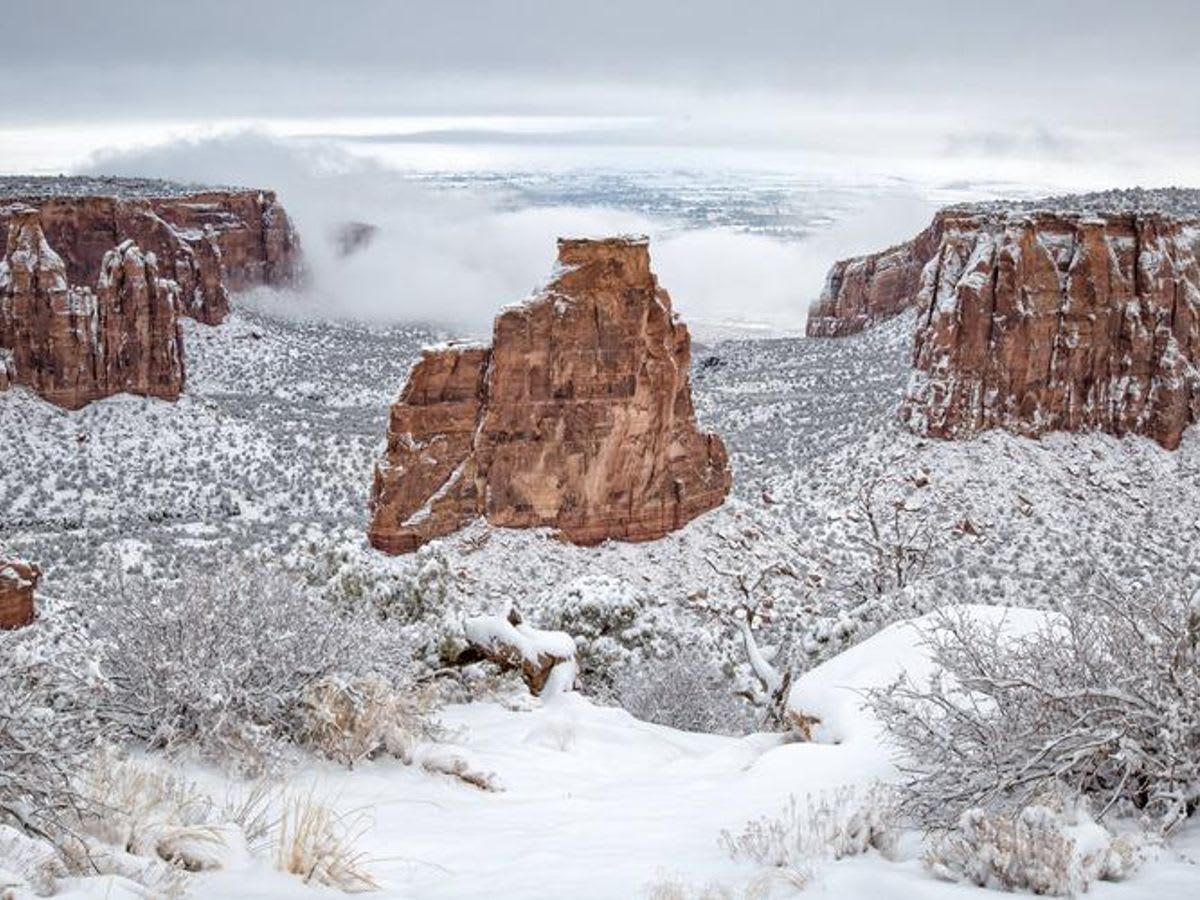 Cover photo for Saddlehorn Campground