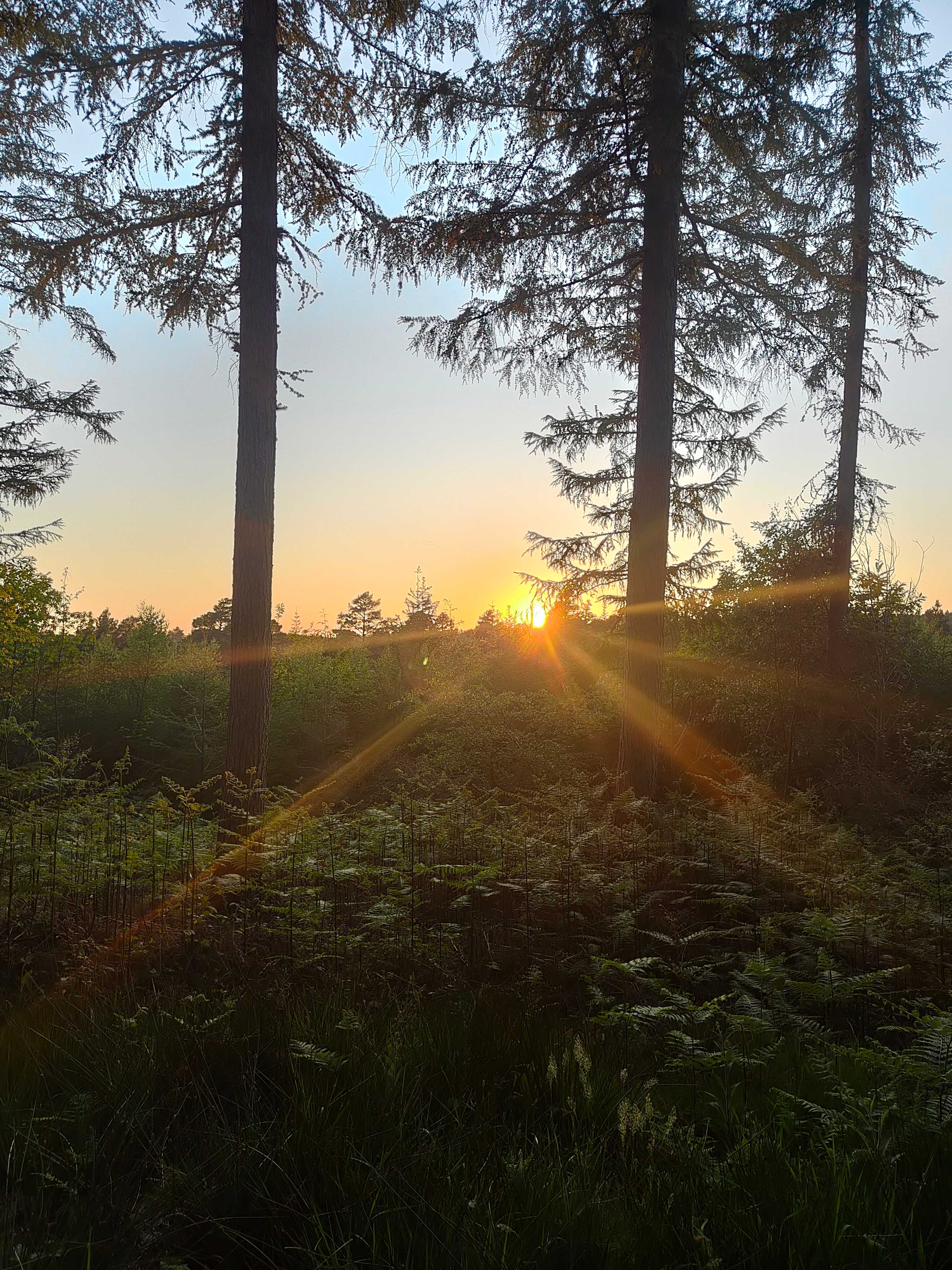 The sunset spot
