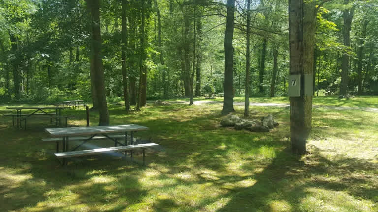 Dyer Woods Nudist Campgrounds