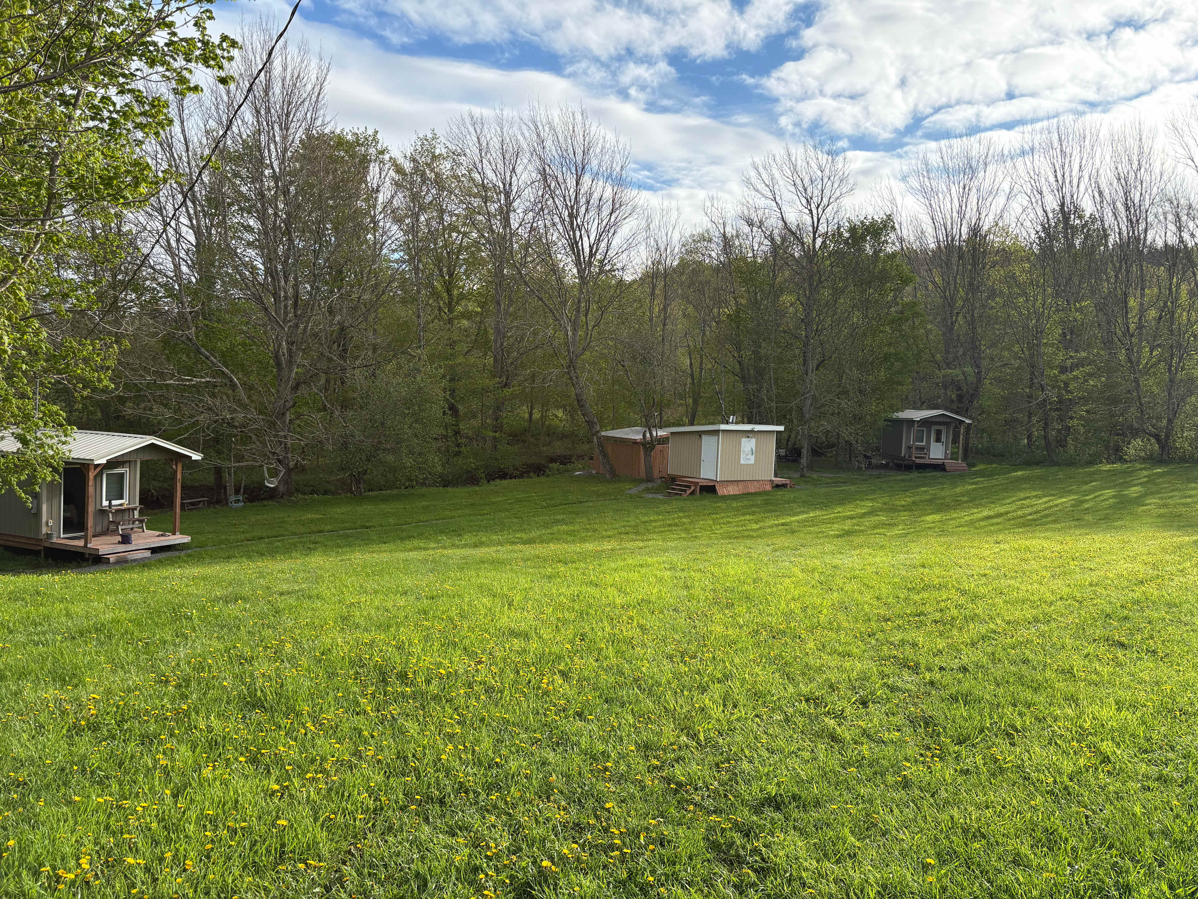 Field & Fern Cabins