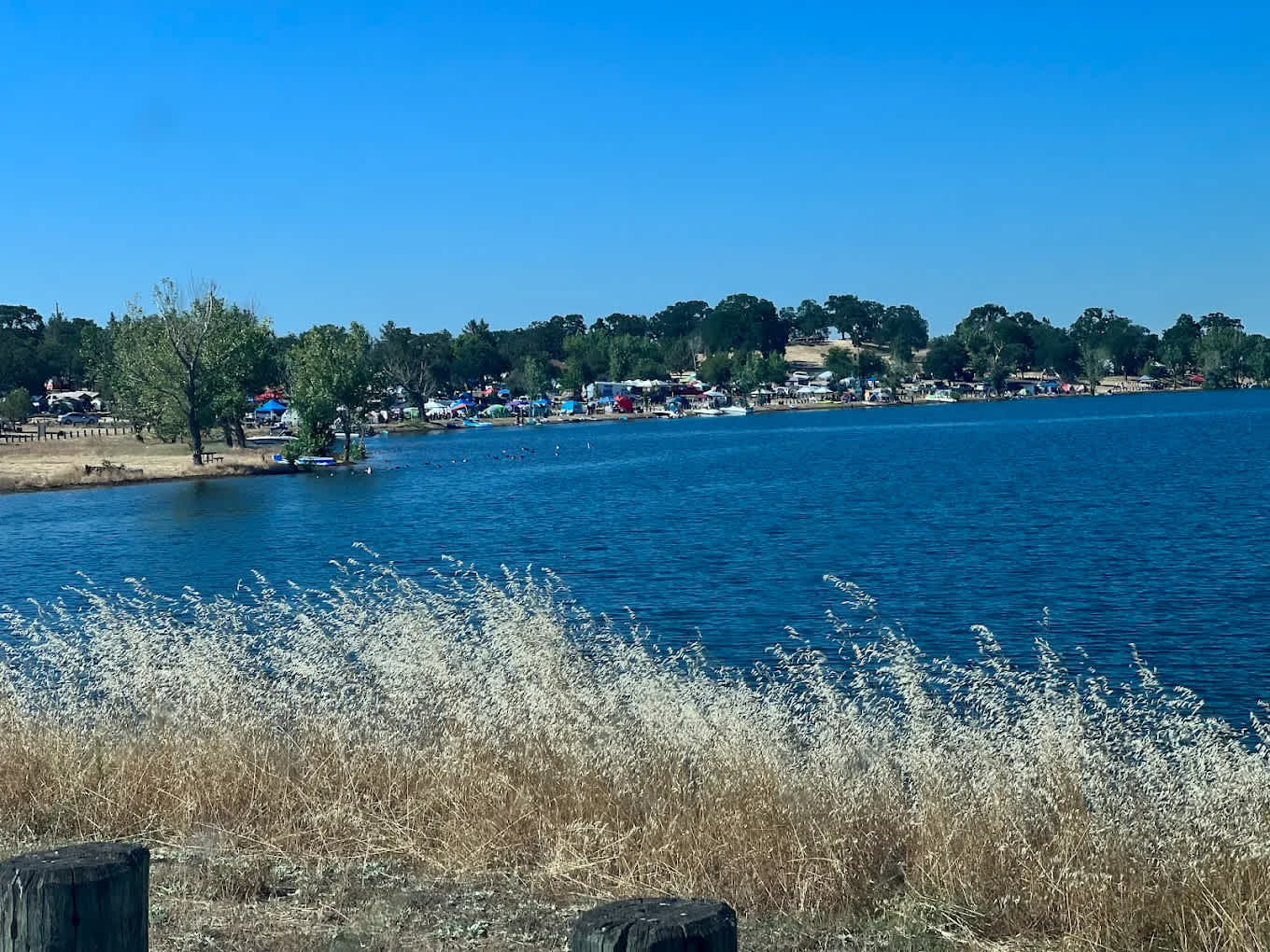 Camanche Lake Blue Oaks Campground North Shore