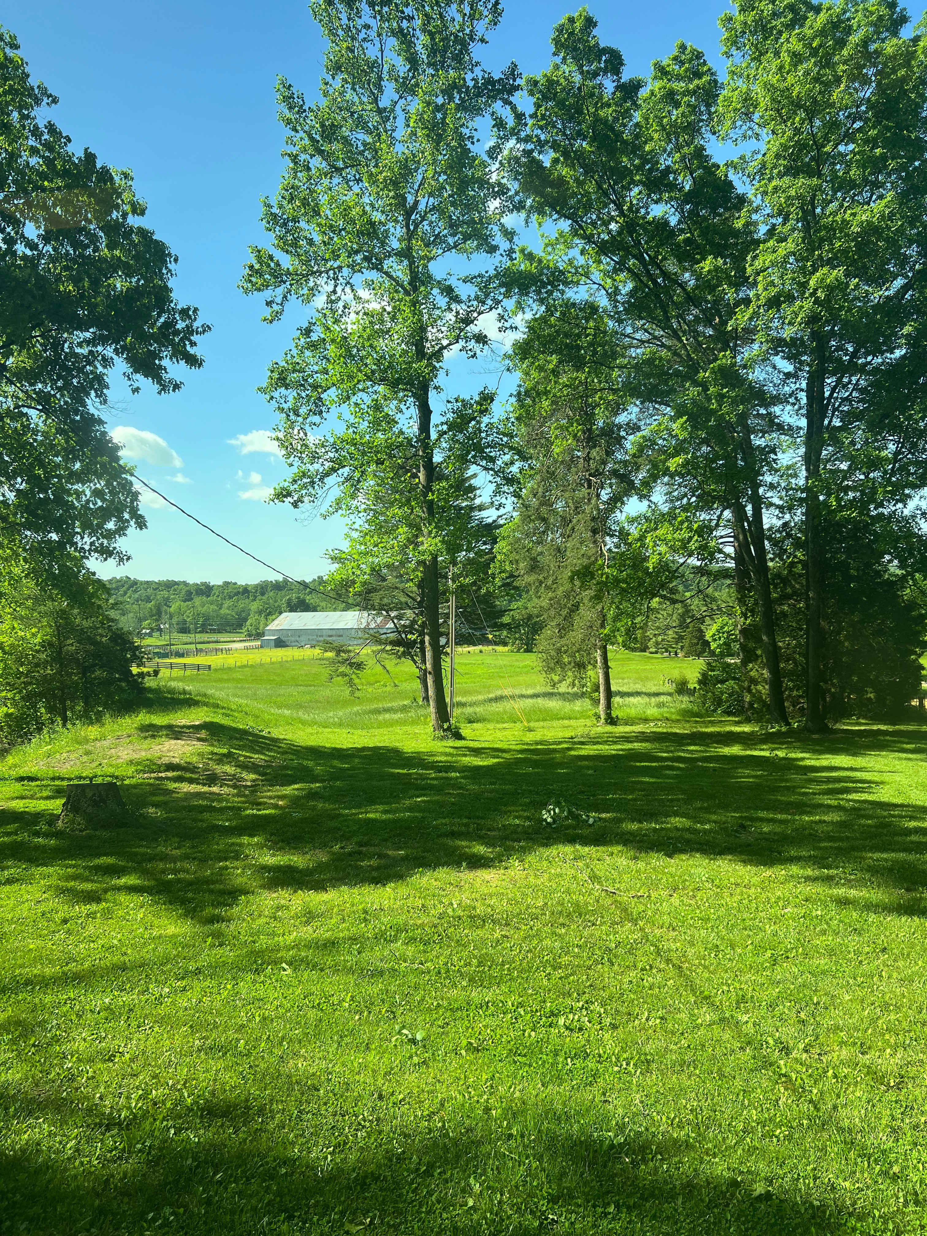 Rockytop Family Farms