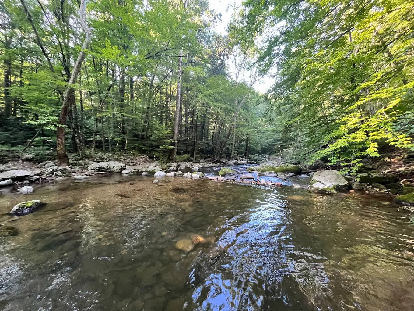 Crabtree Falls Campgrounds