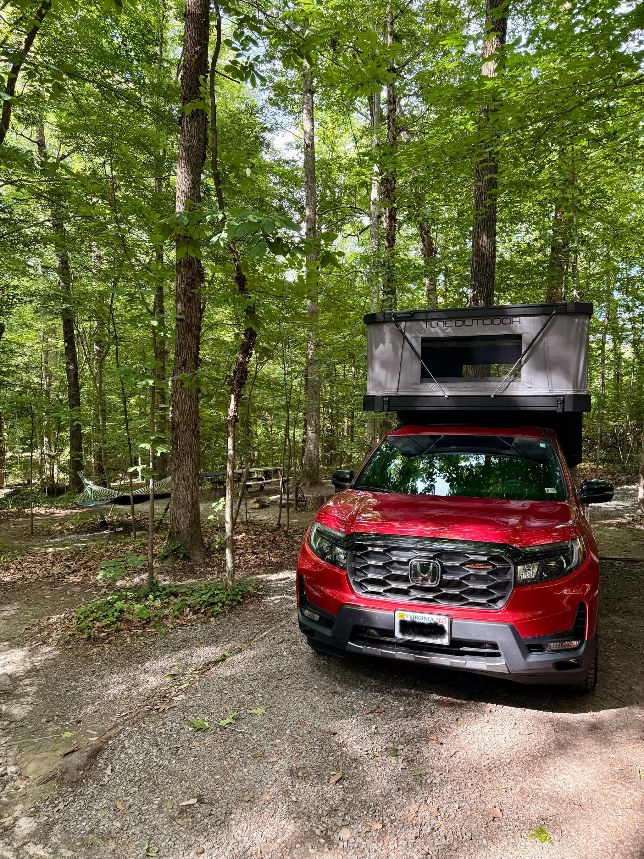 City Camp on Reedy Creek