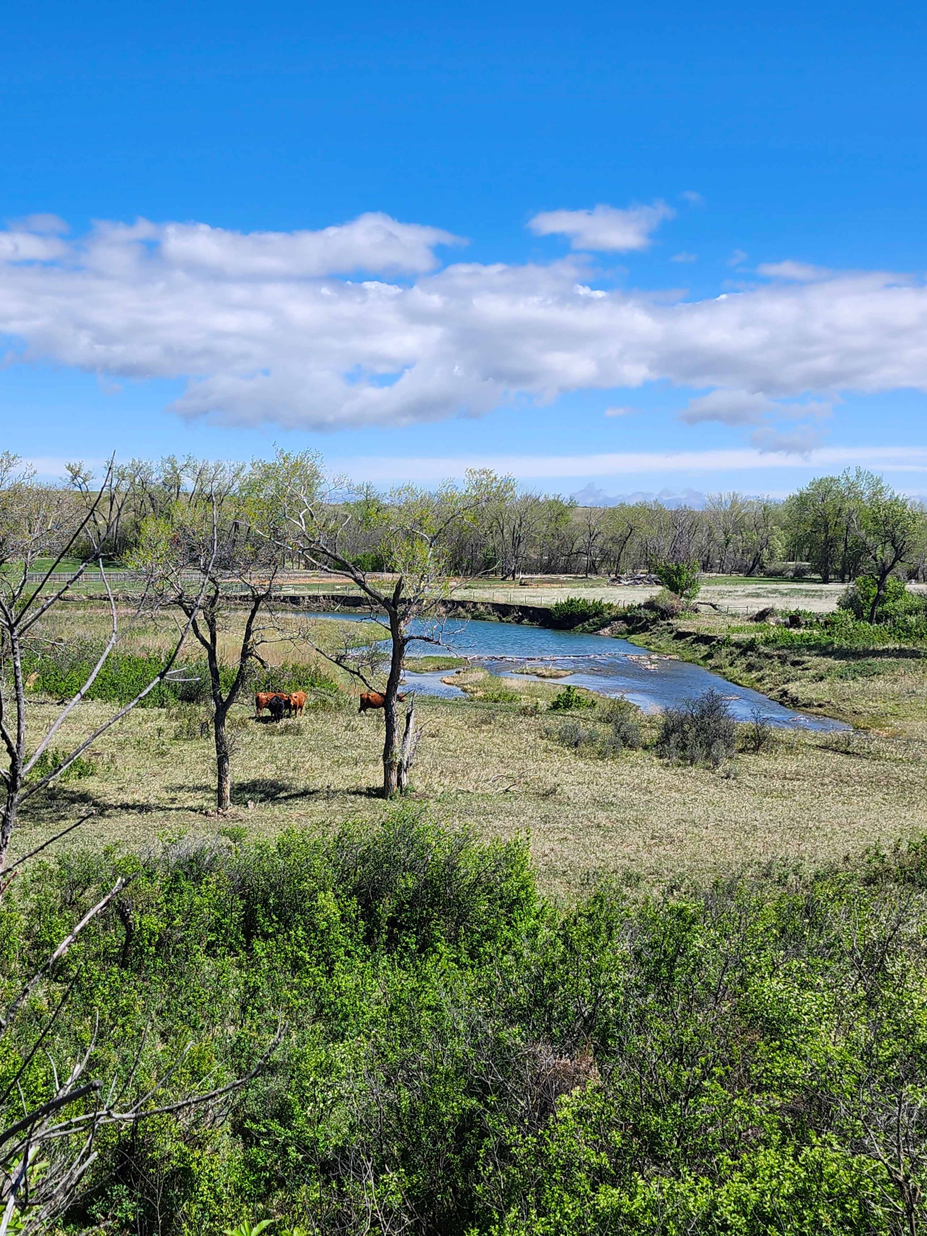 The Eagle Nest Camping Co
