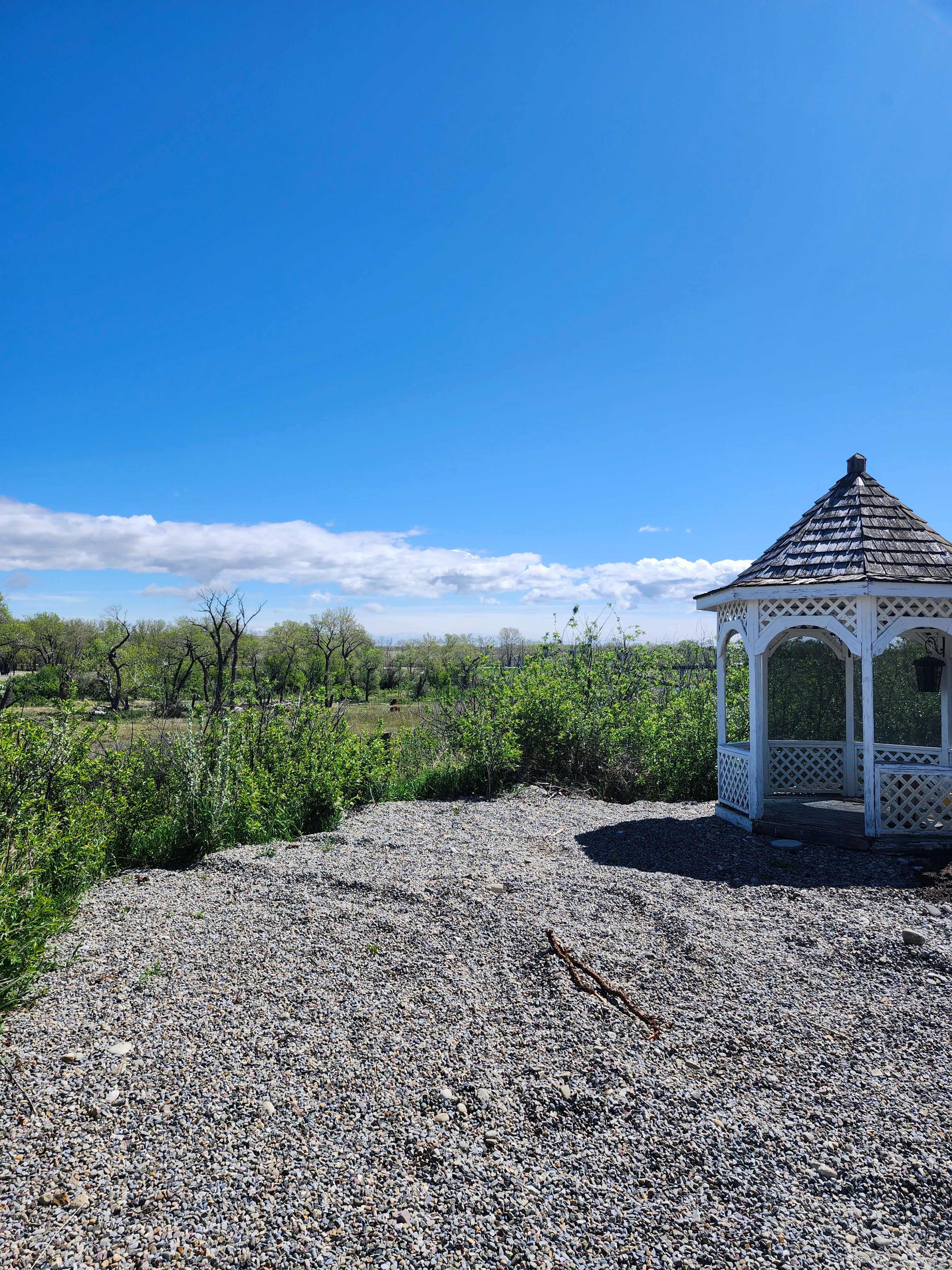 The Eagle Nest Camping Co