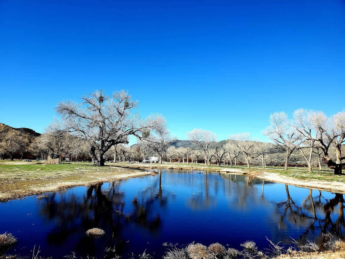 Sundance Meadows