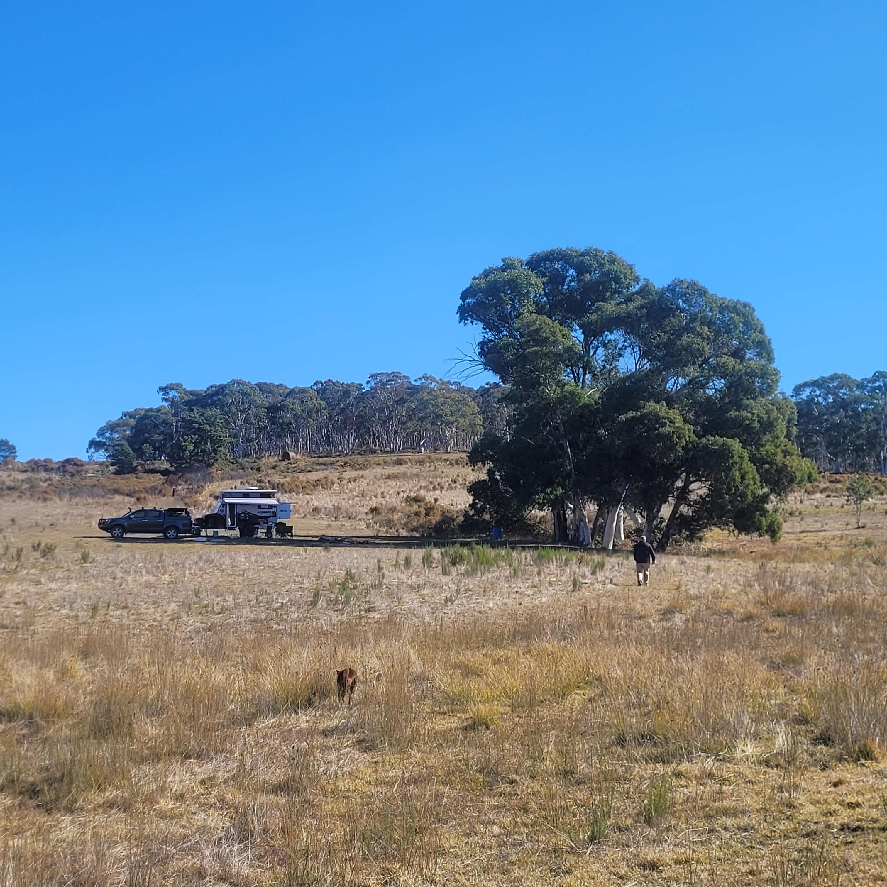 Mount Testa Campgrounds