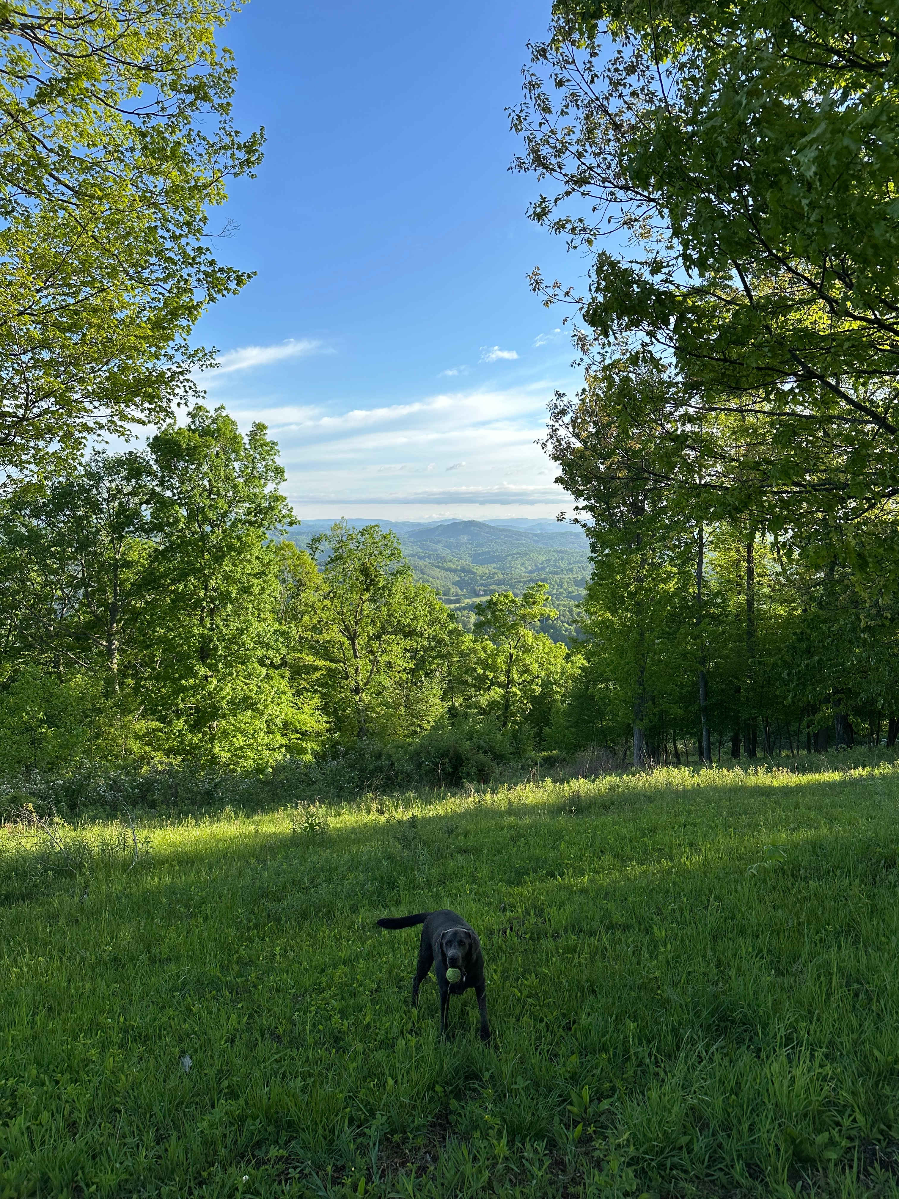 OnTop.camp - NW NC Ashe Co