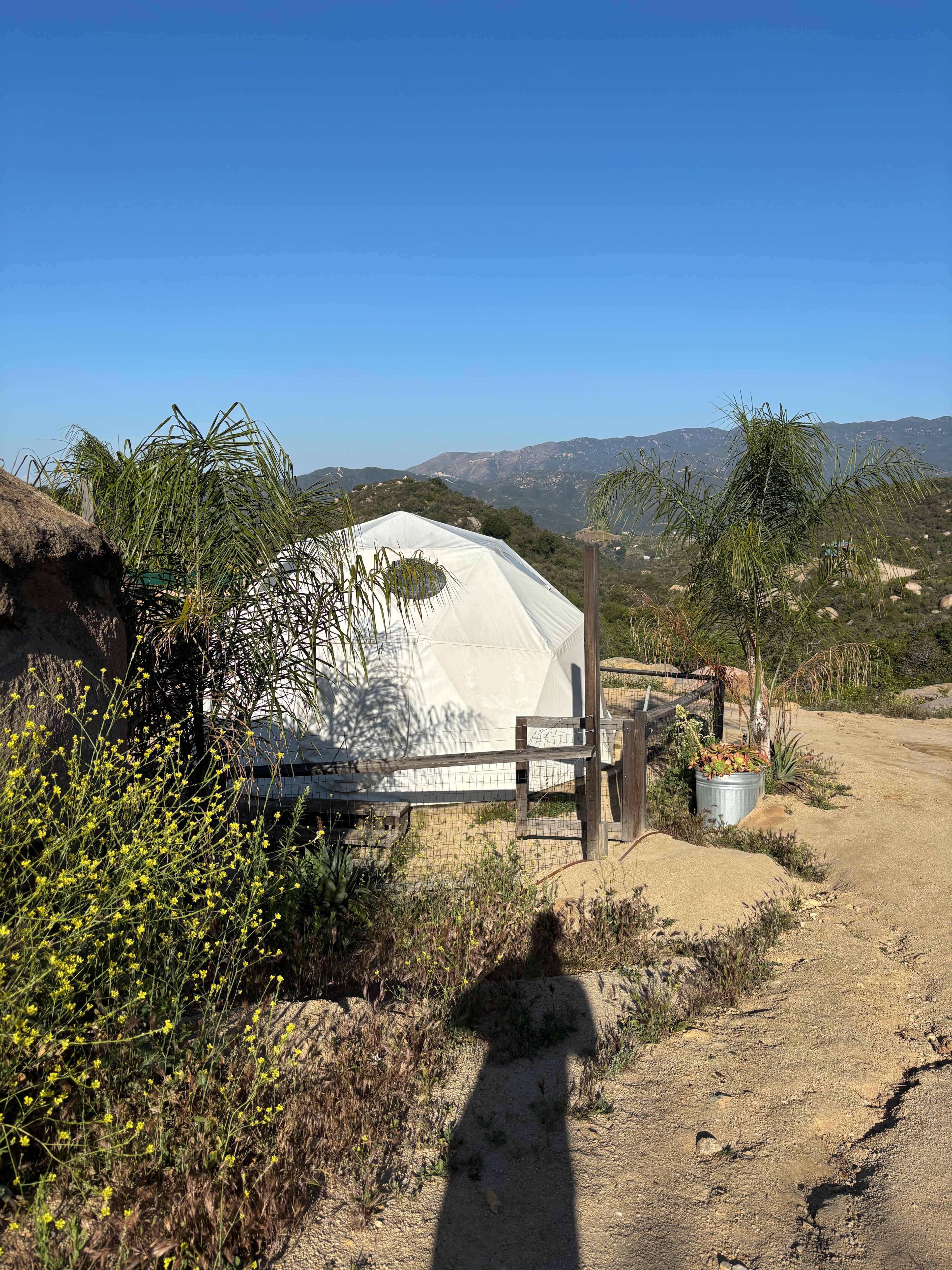 Bailes Farm