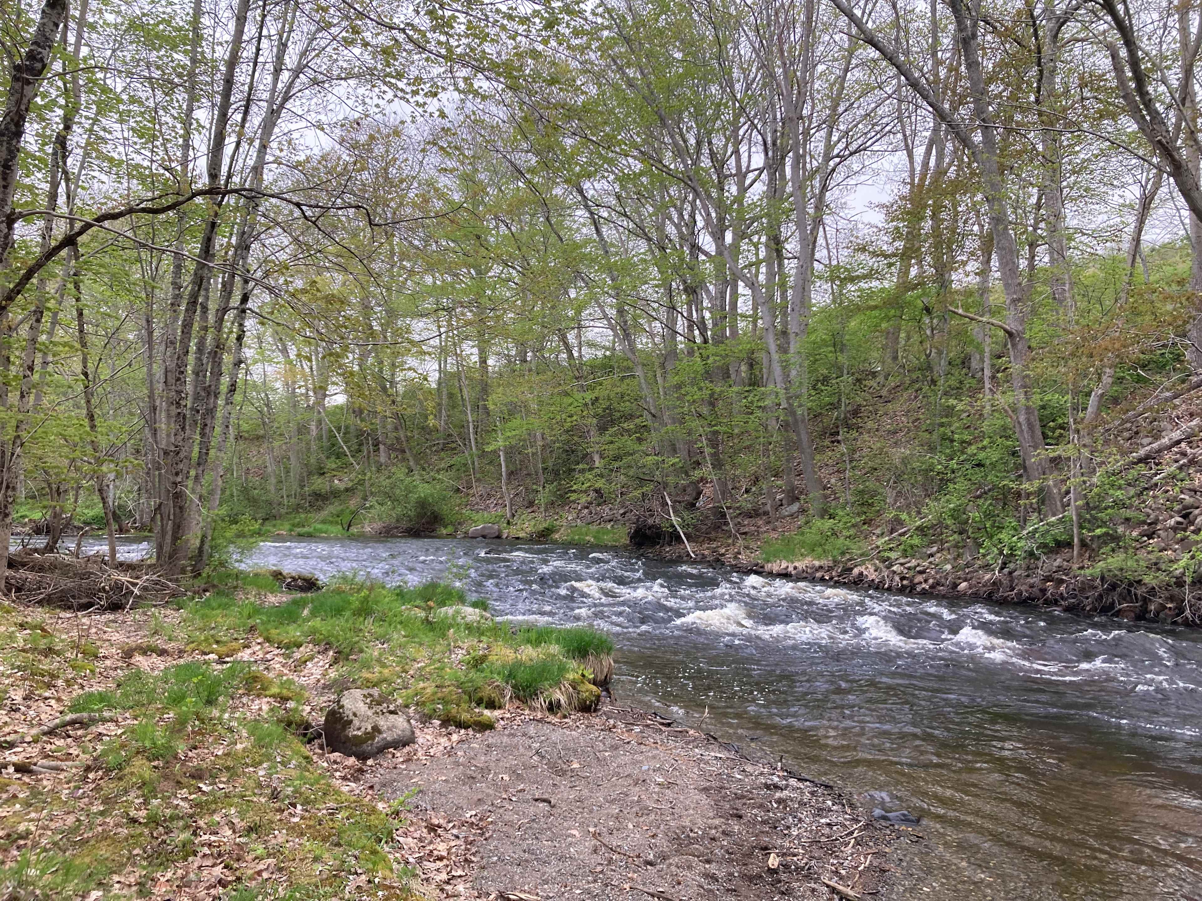 Gaspereau River Hipcamp