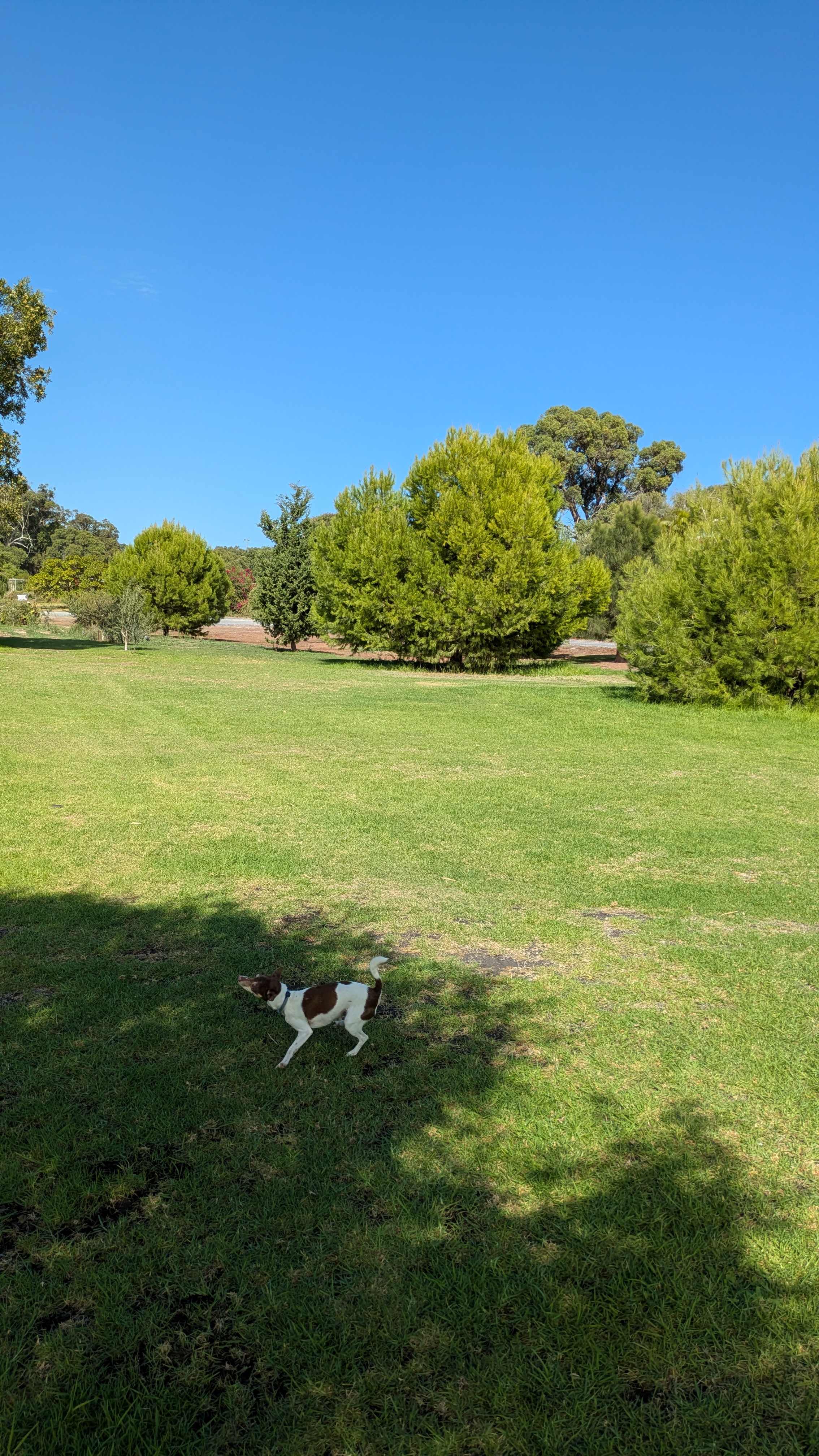 Lake Preston Lime Paddock