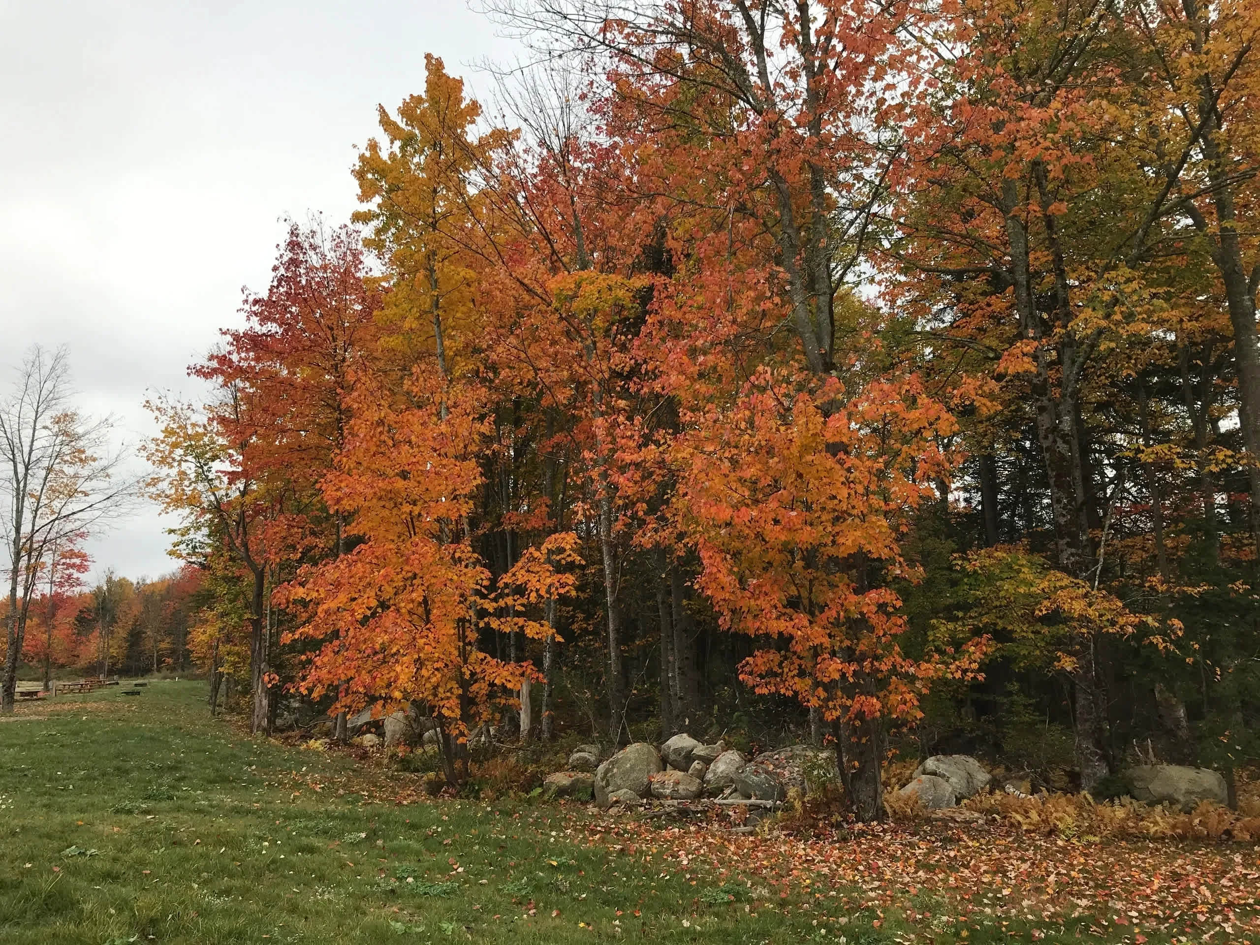 Harborside RV Resort