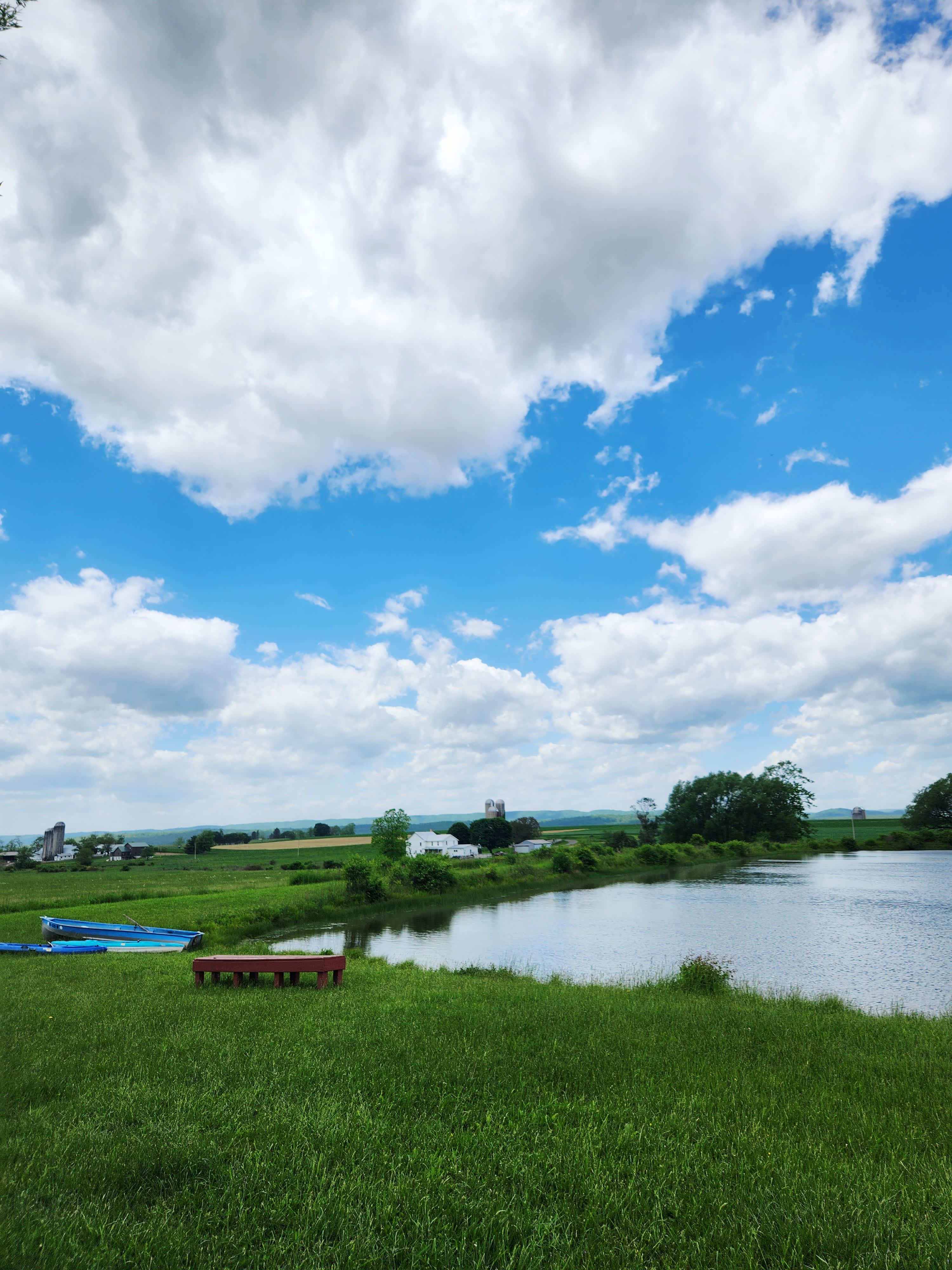 Paradise By The Pond