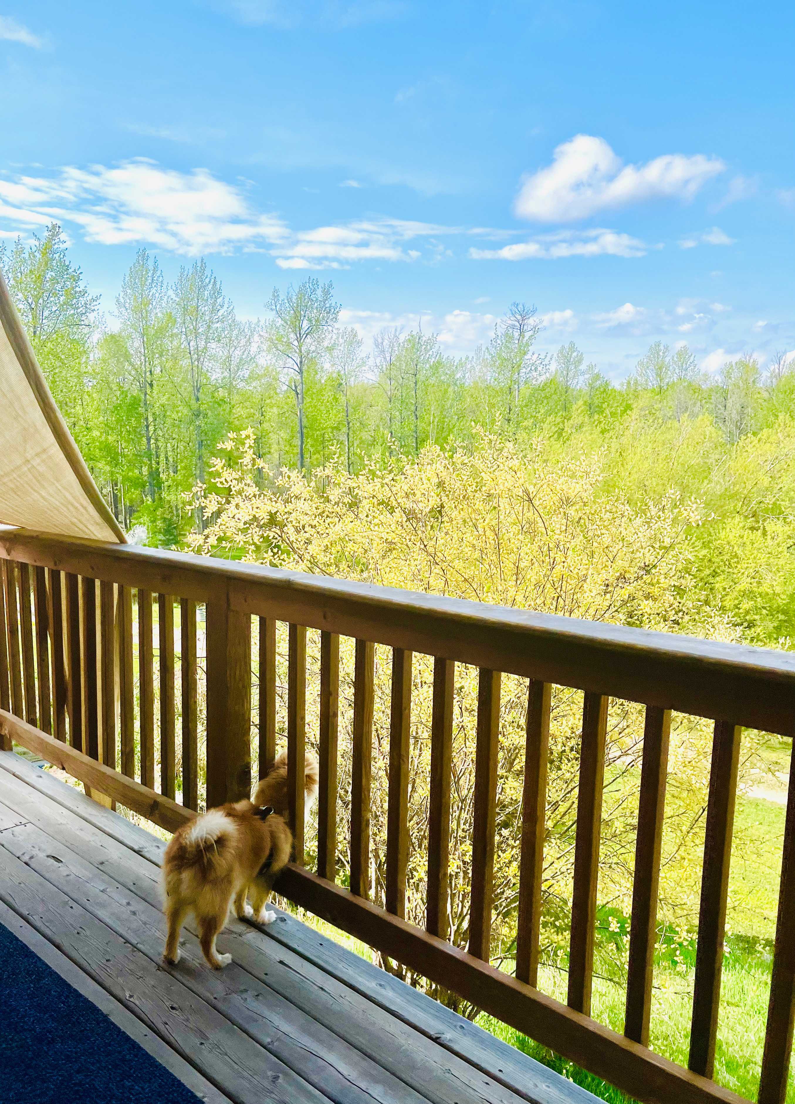 Hidden Springs Retreat & Guesthouse