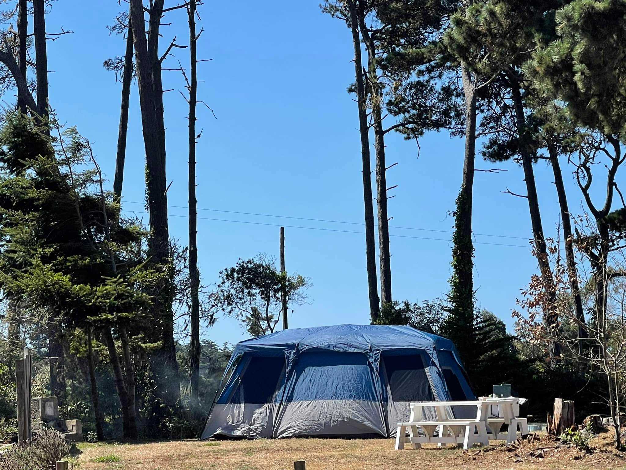 Hidden Pines RV Park Campground
