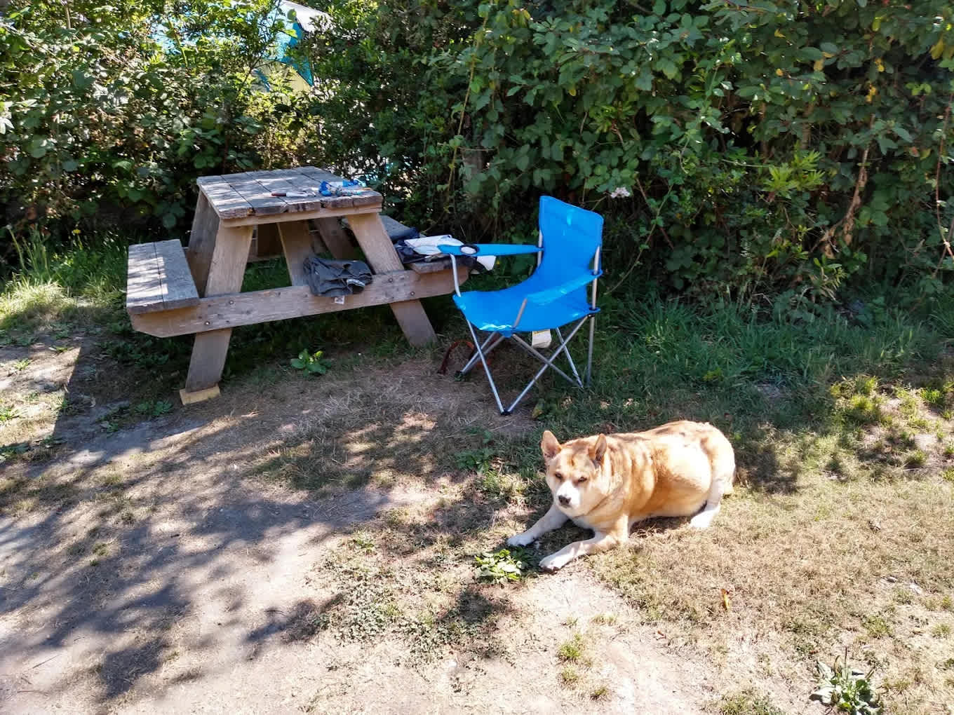 Woodside RV Park and Campground