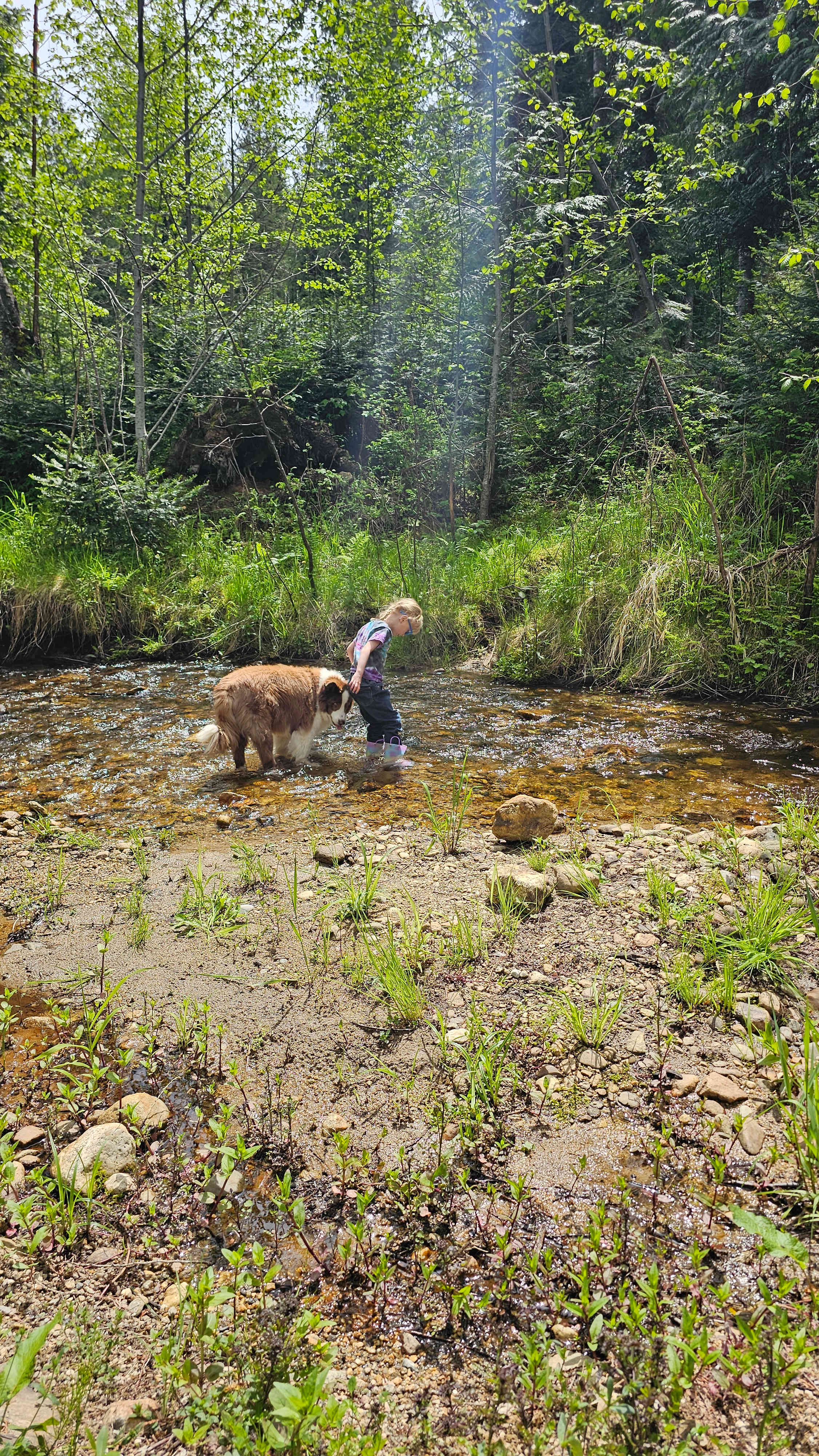 Turnipseed Creek Campsites