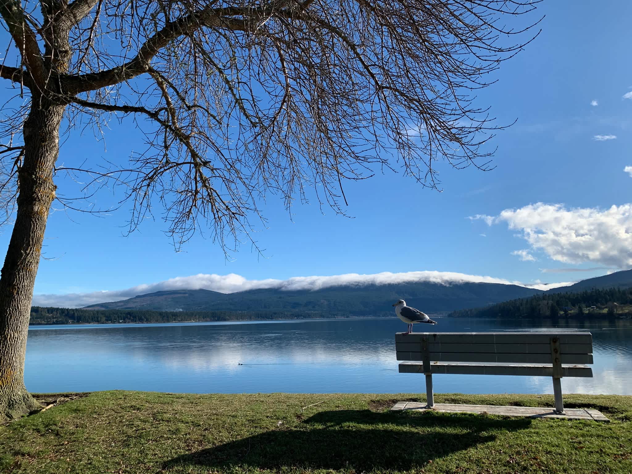 John Wayne's Waterfront Resort