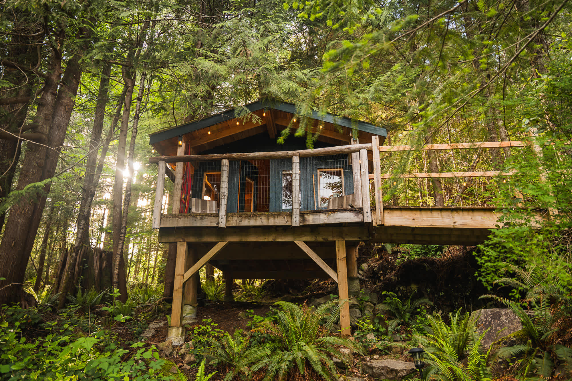 Treehouse Cabin