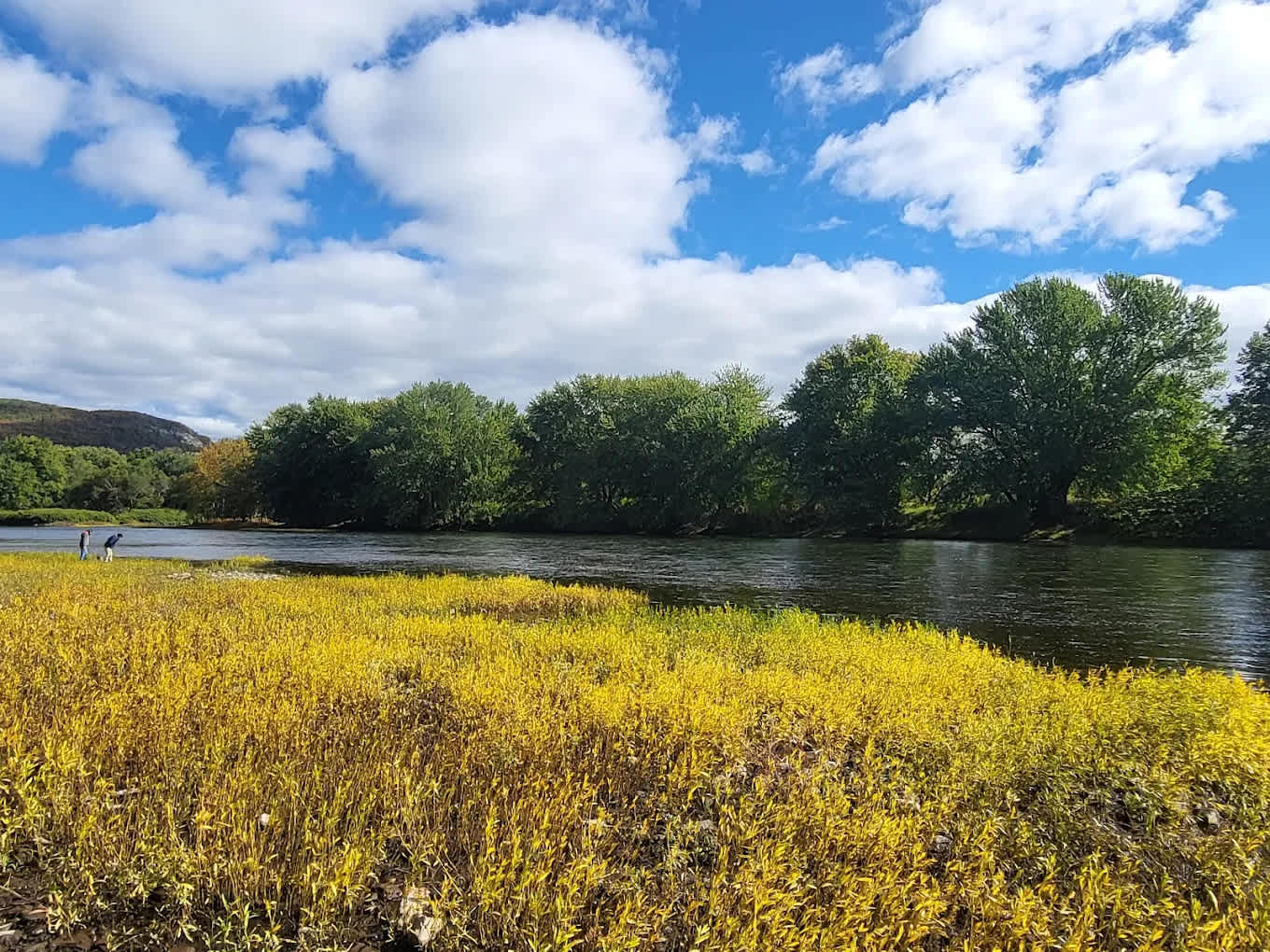 Kittatinny Canoes - River Beach Campground