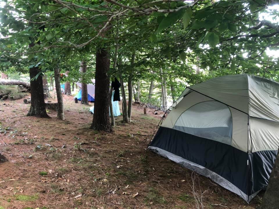 Knubble Bay Camp
