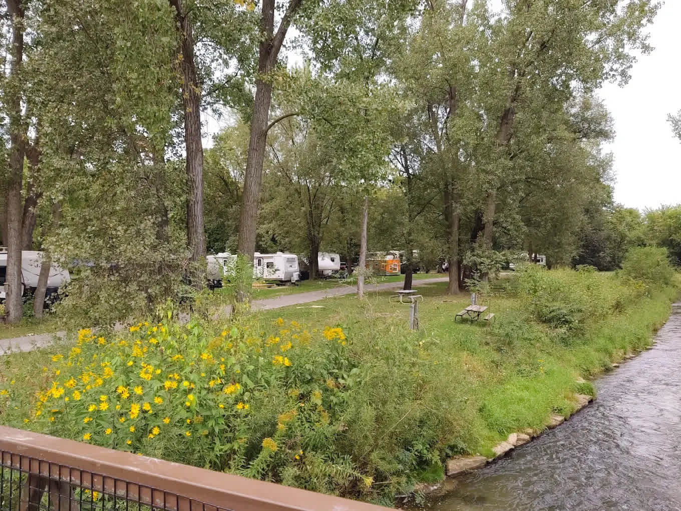 Lazy D Campground