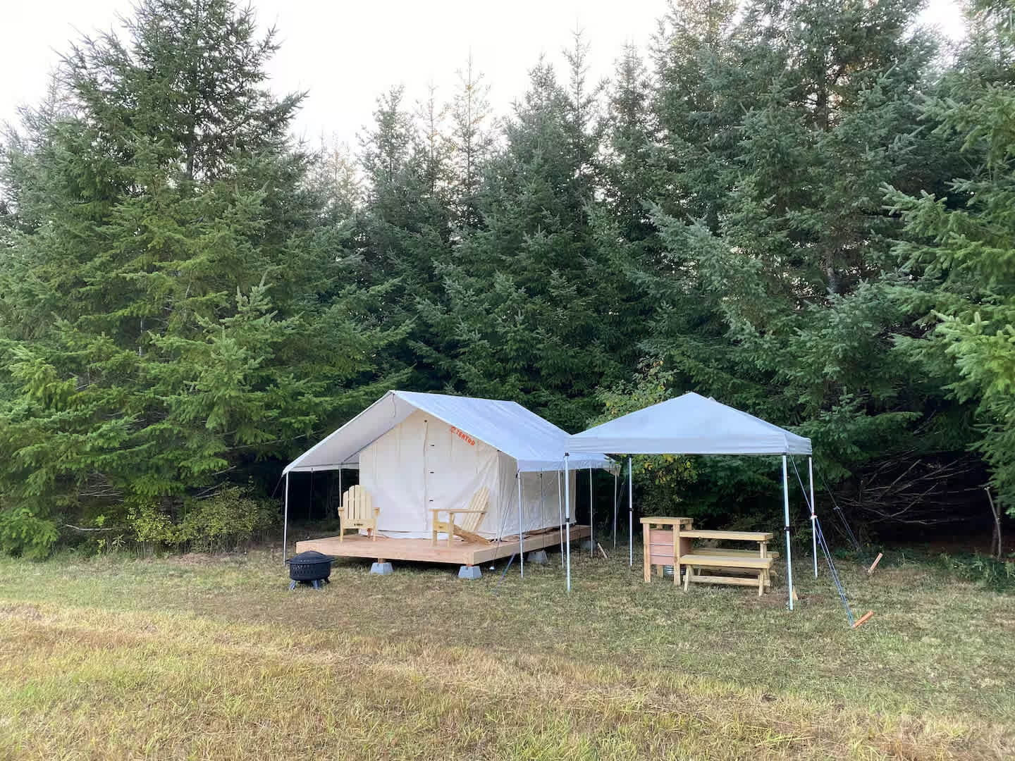 Picture of the site