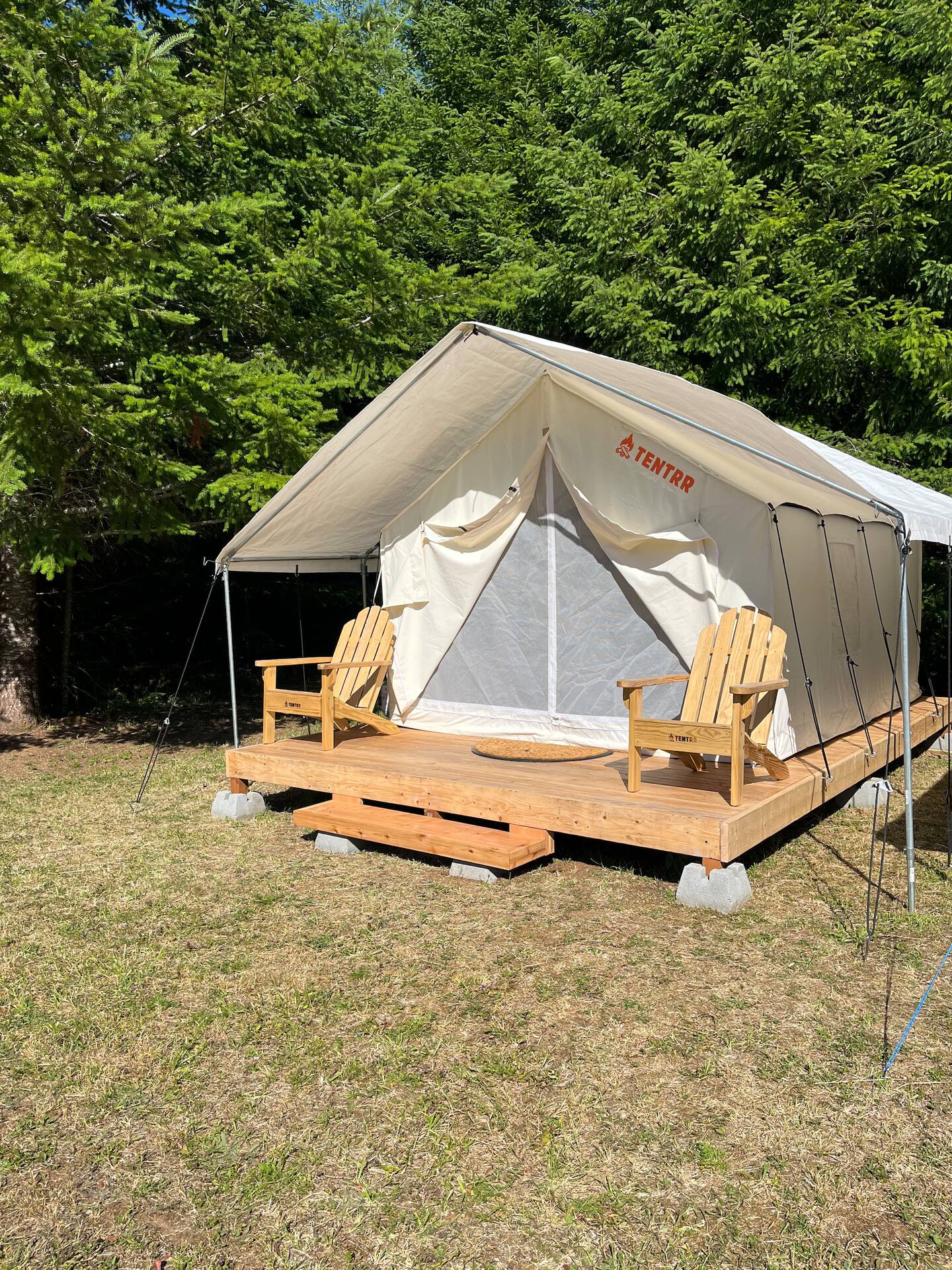 Picture of the site