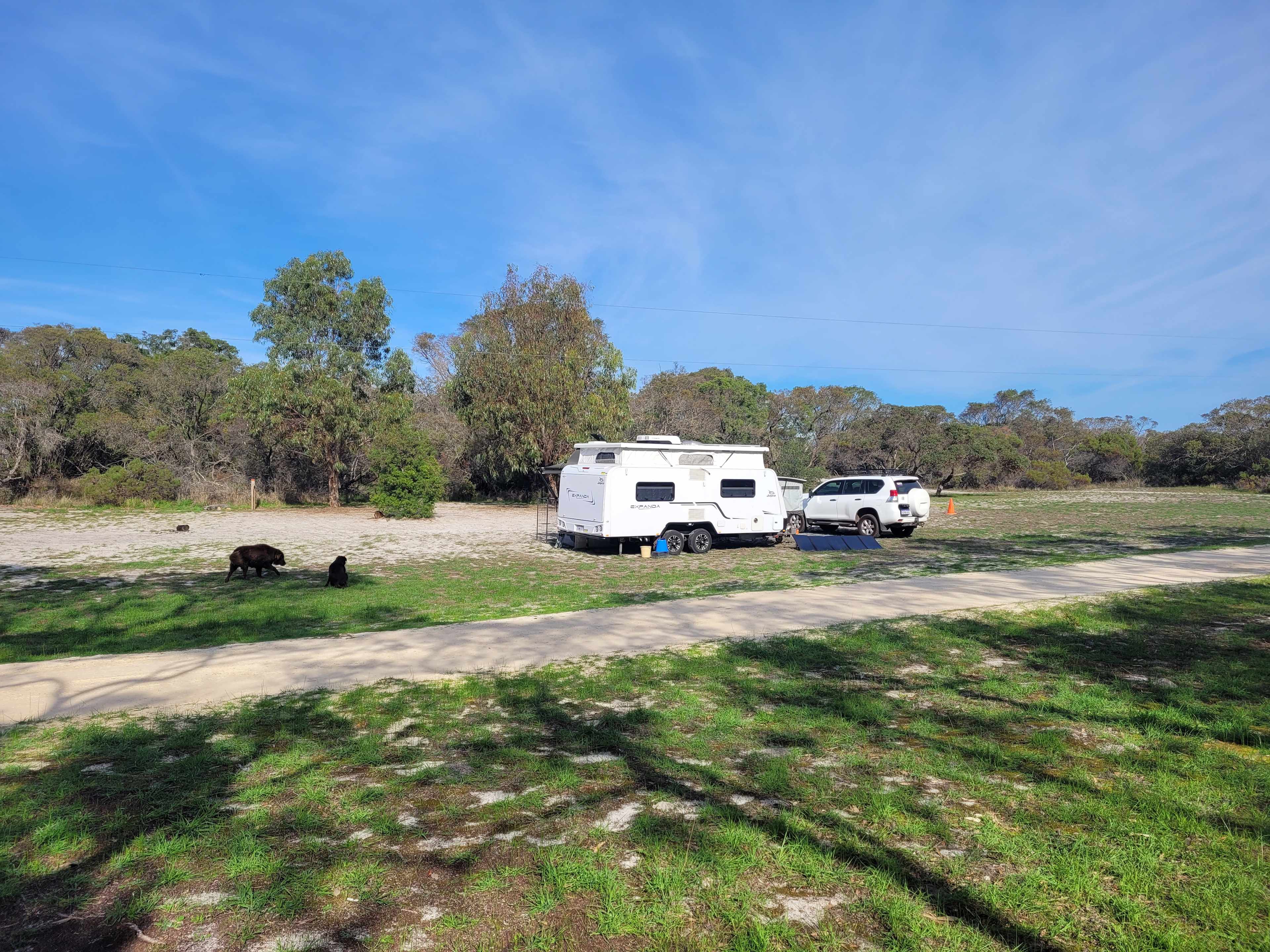 Toolibut Bush Camp