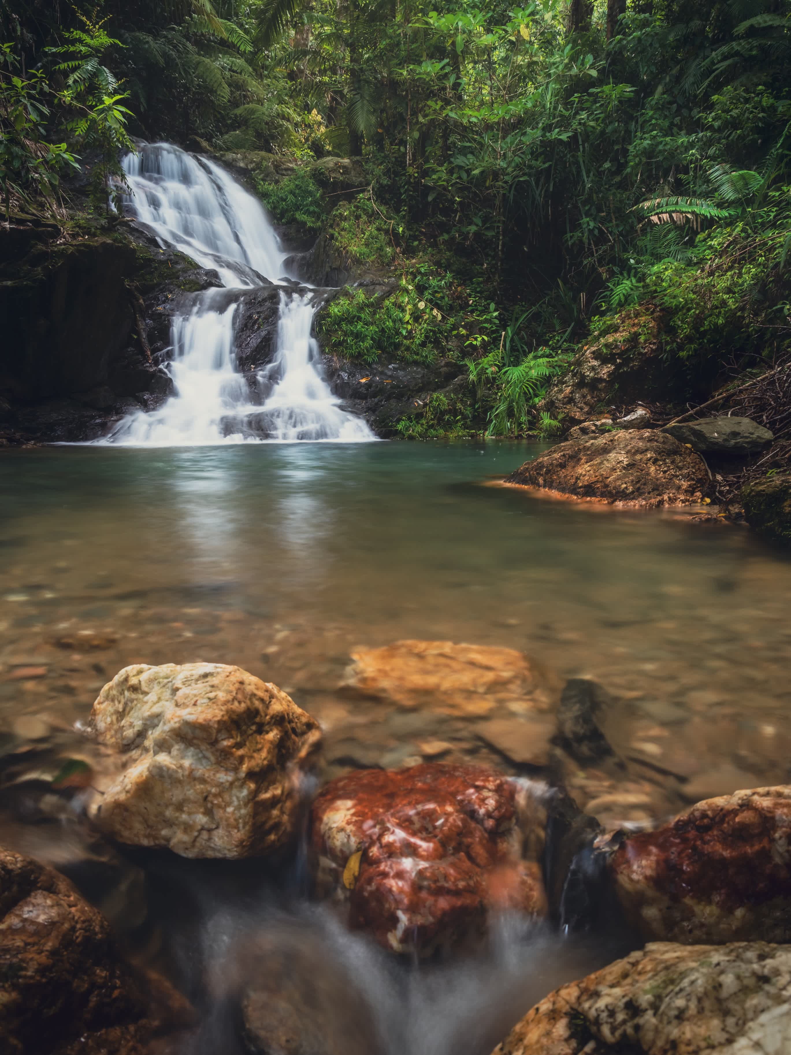 Daintree Exotics Camping
