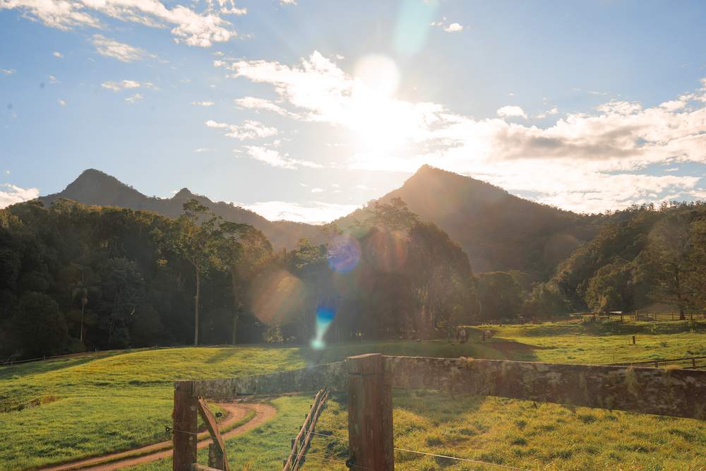 Malabar Farm