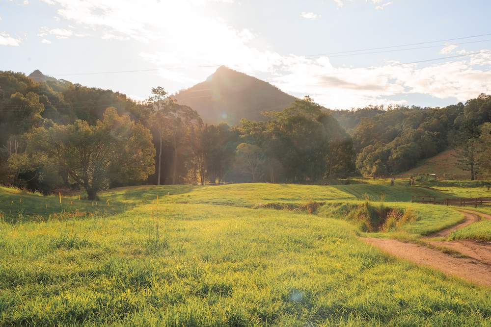 Malabar Farm