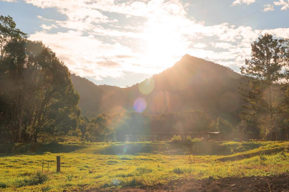 Malabar Farm