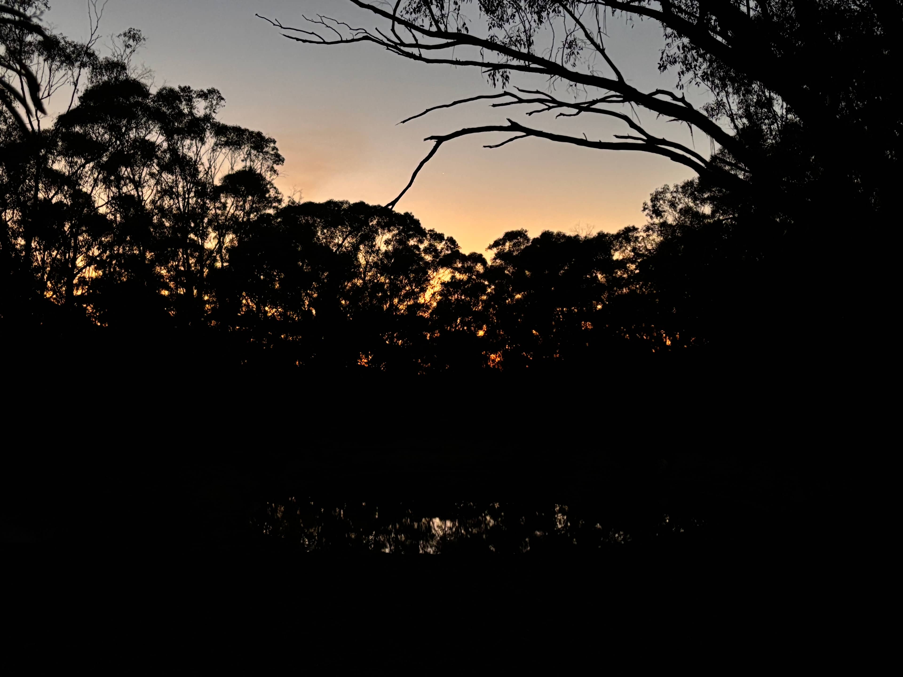 Hut Amongst The Gum Trees