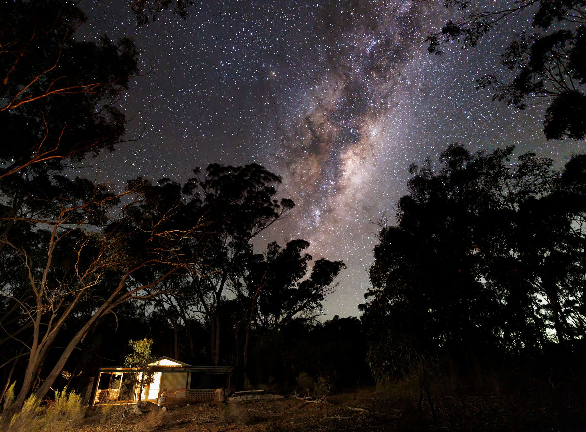 Hut Amongst The Gum Trees