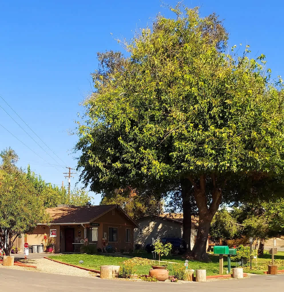 Merced River Resort