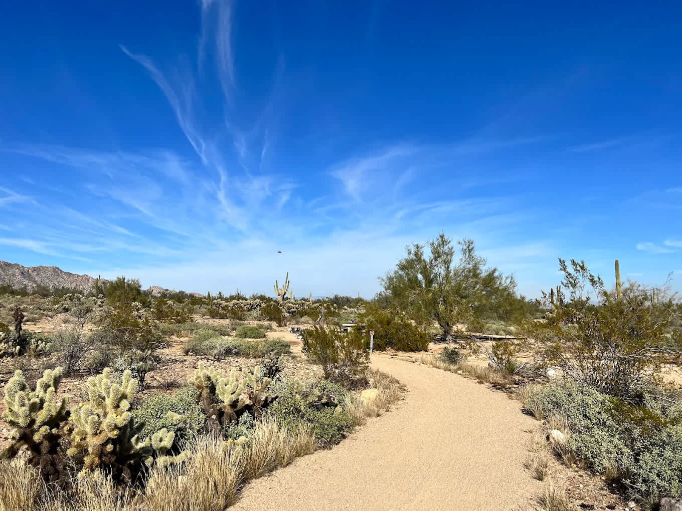 Willow Campground
