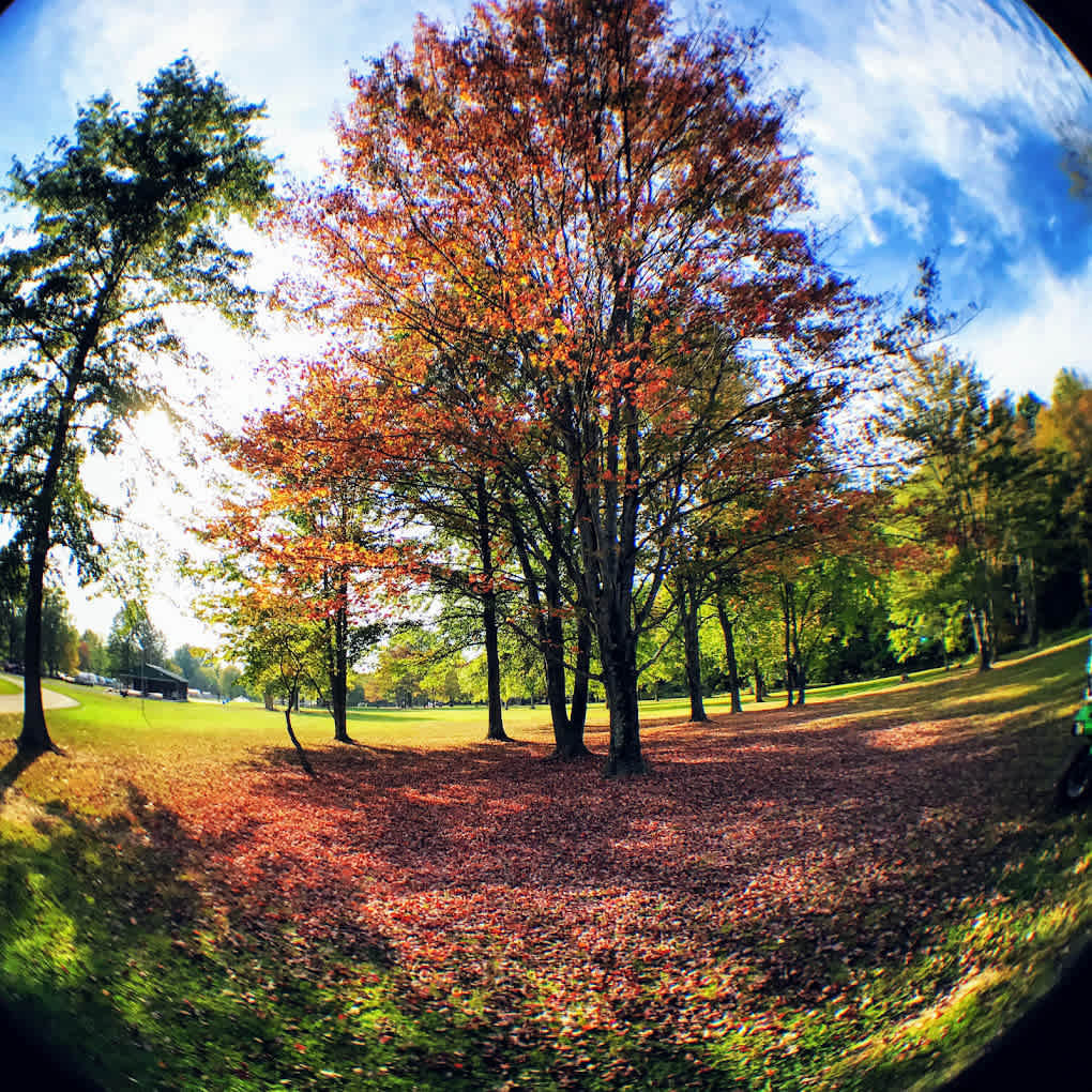 Paradise Lakes Family Campground