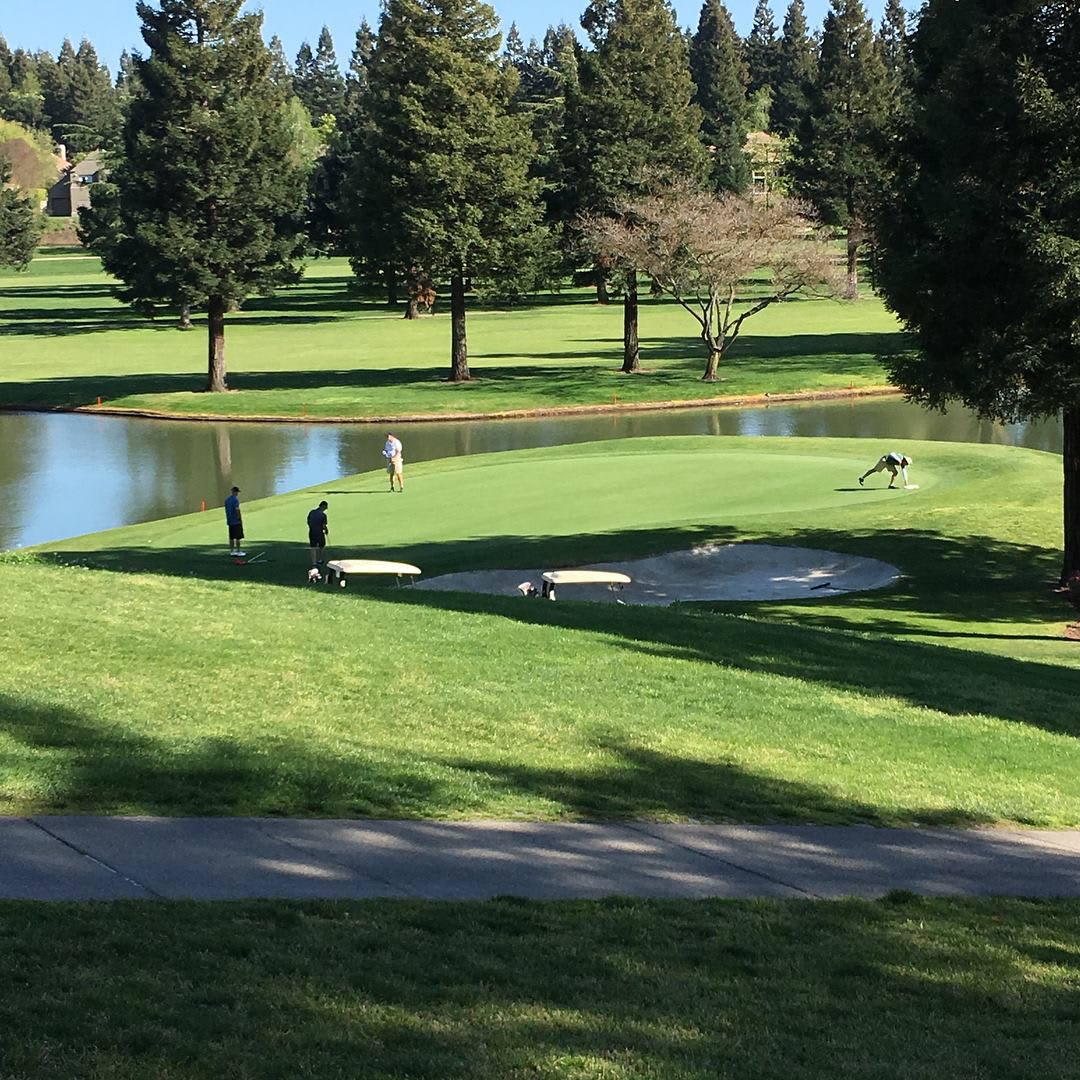 PSEA Camp Shasta