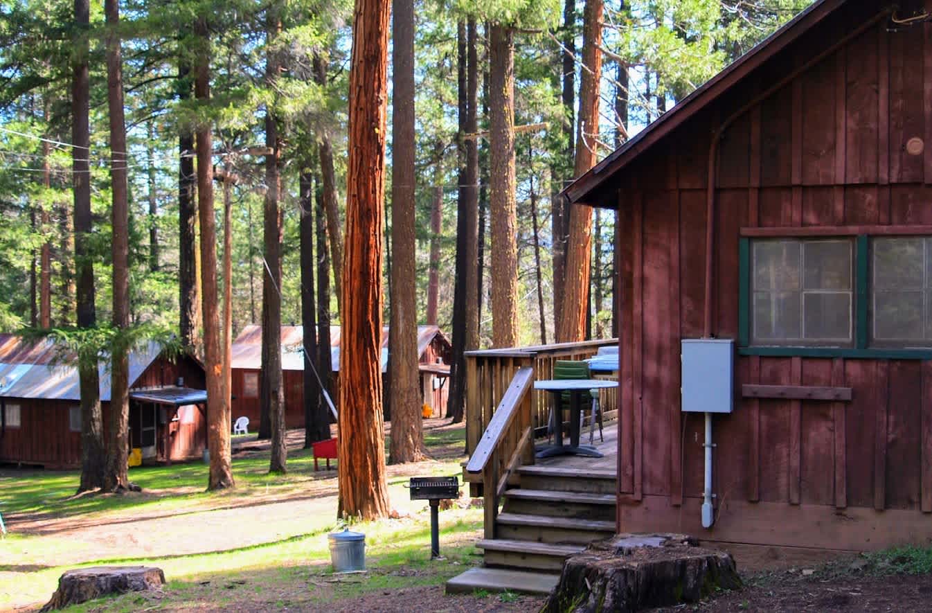PSEA Camp Shasta
