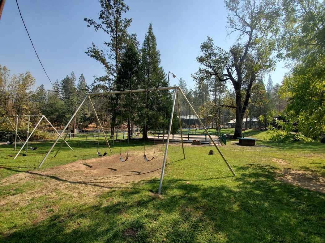 PSEA Camp Shasta