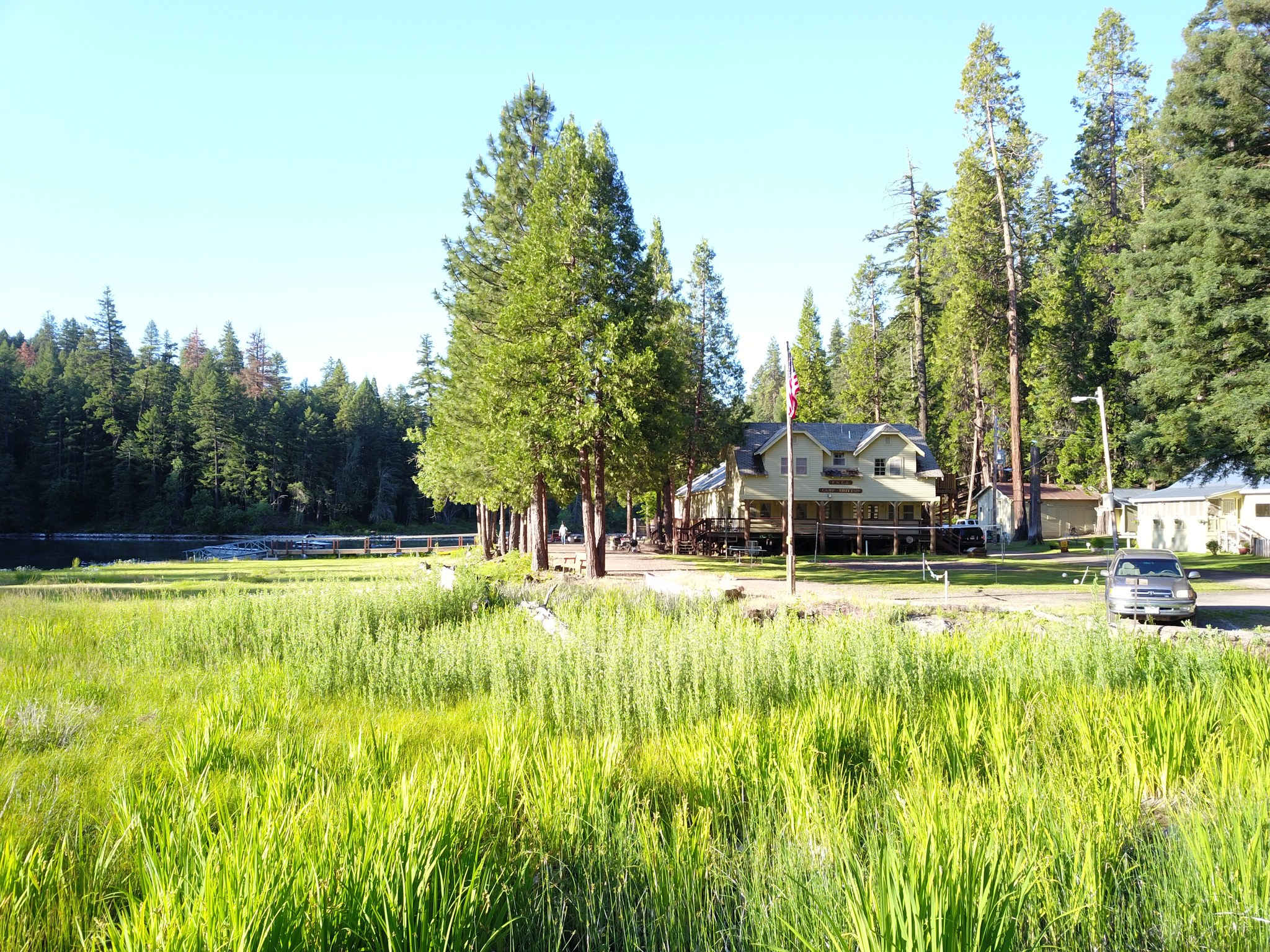 PSEA Camp Shasta
