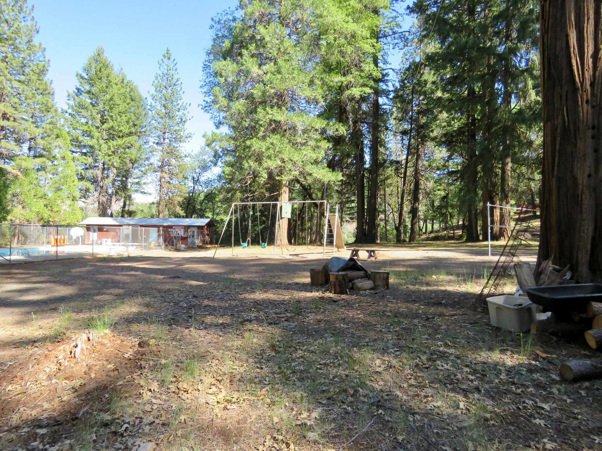 PSEA Camp Shasta