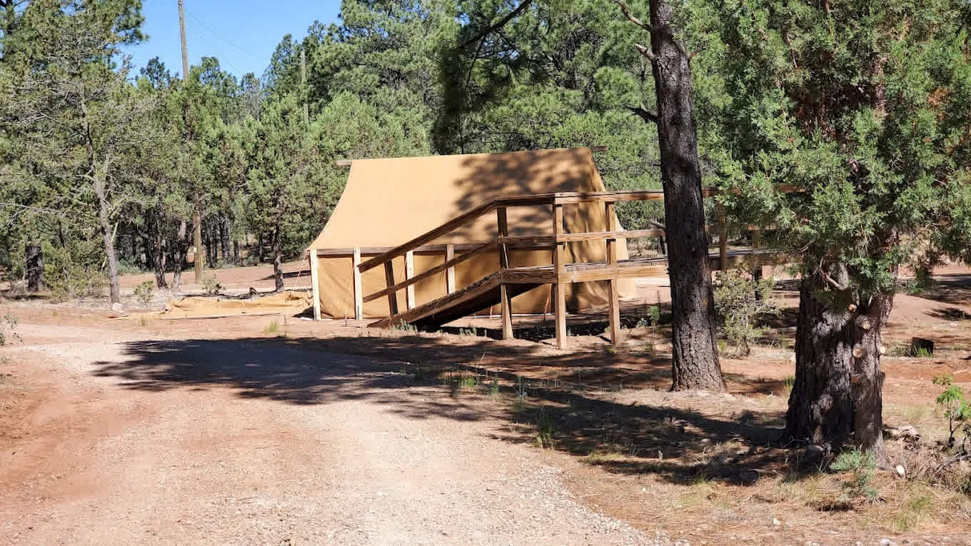 Camp of the Tall Pines
