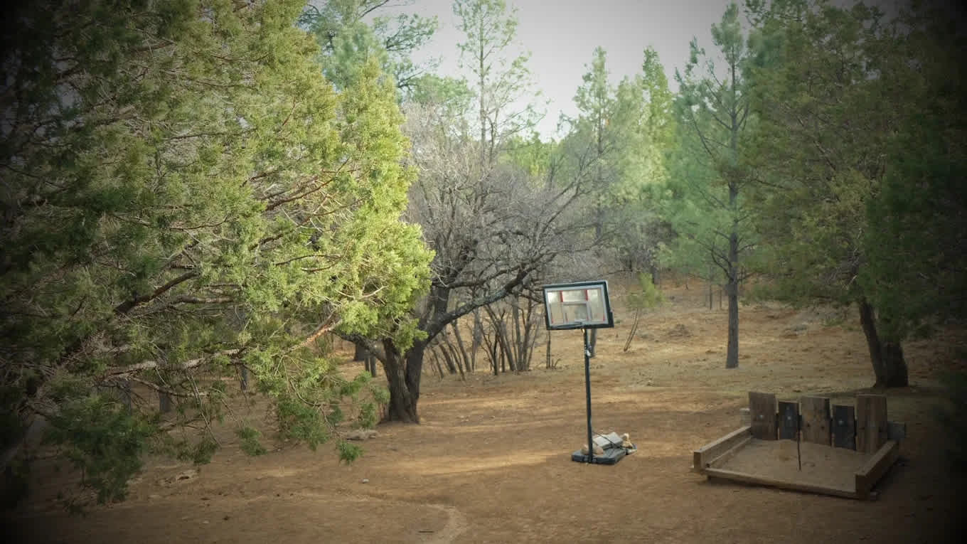 Camp of the Tall Pines