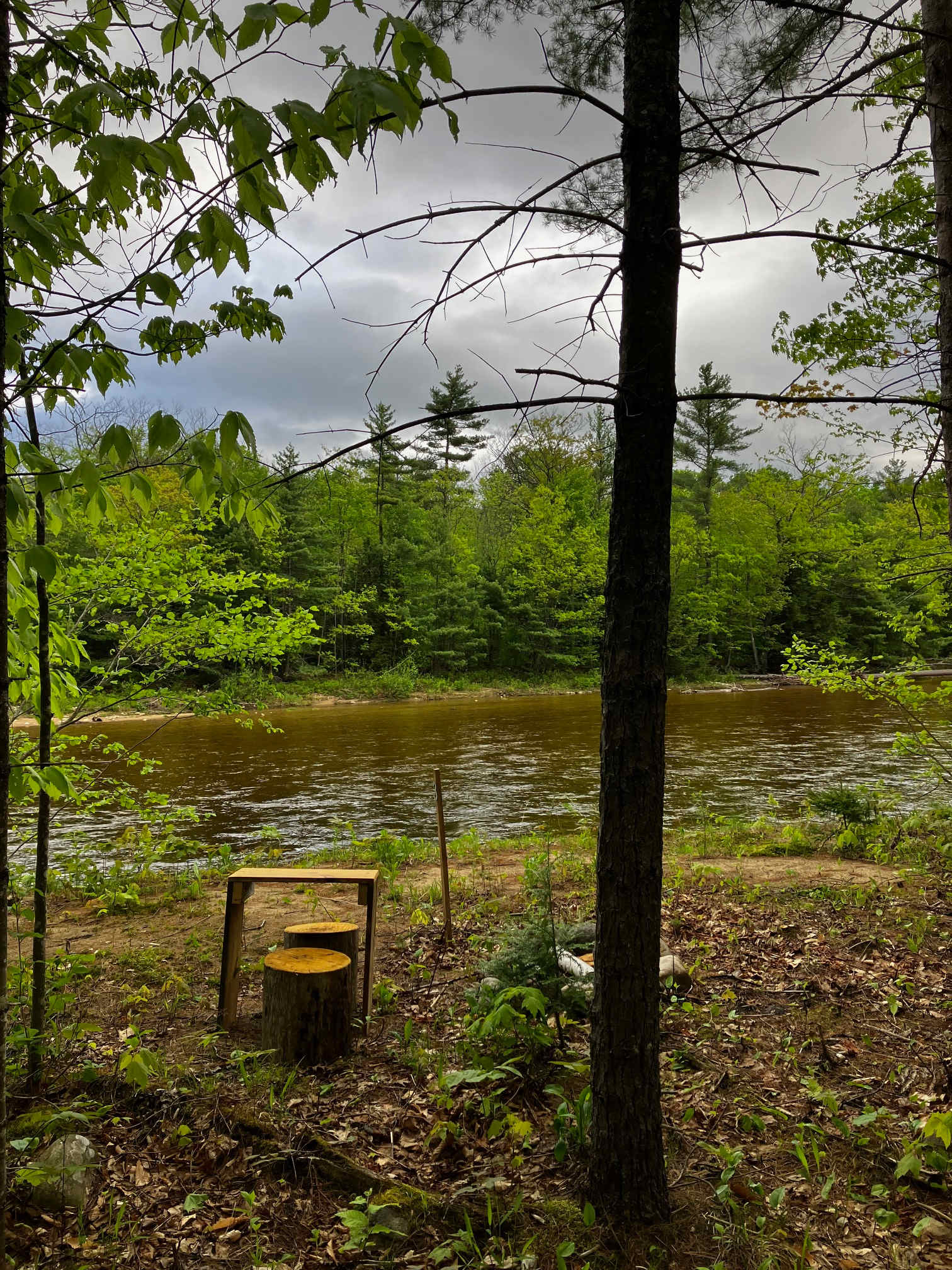 Waterfront Quiet Overnight Stays