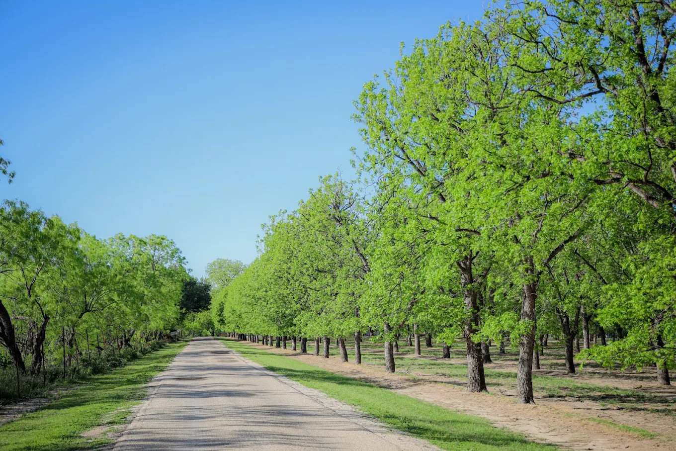 Pecan Valley RV Park